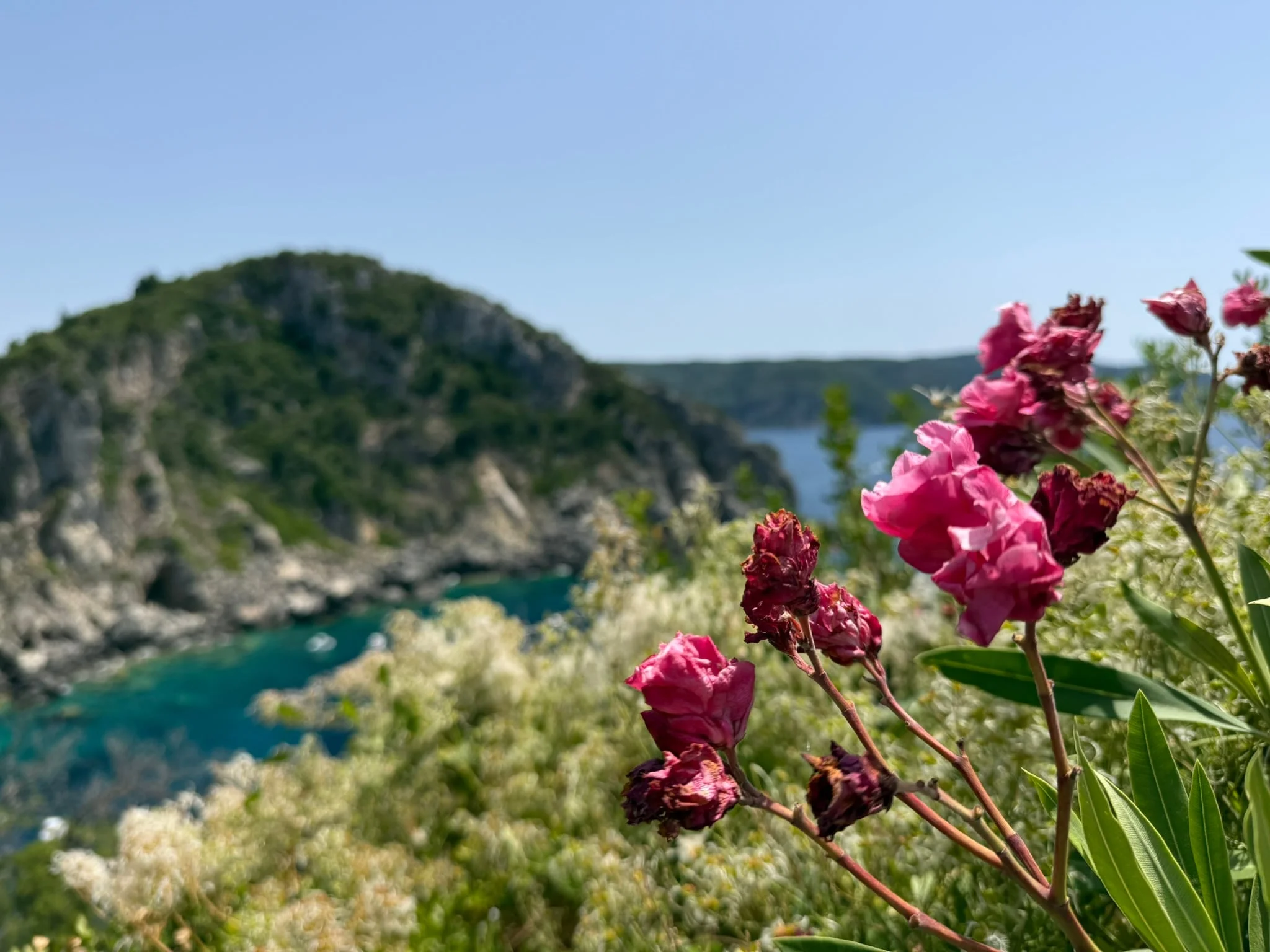 Corfu photo 15