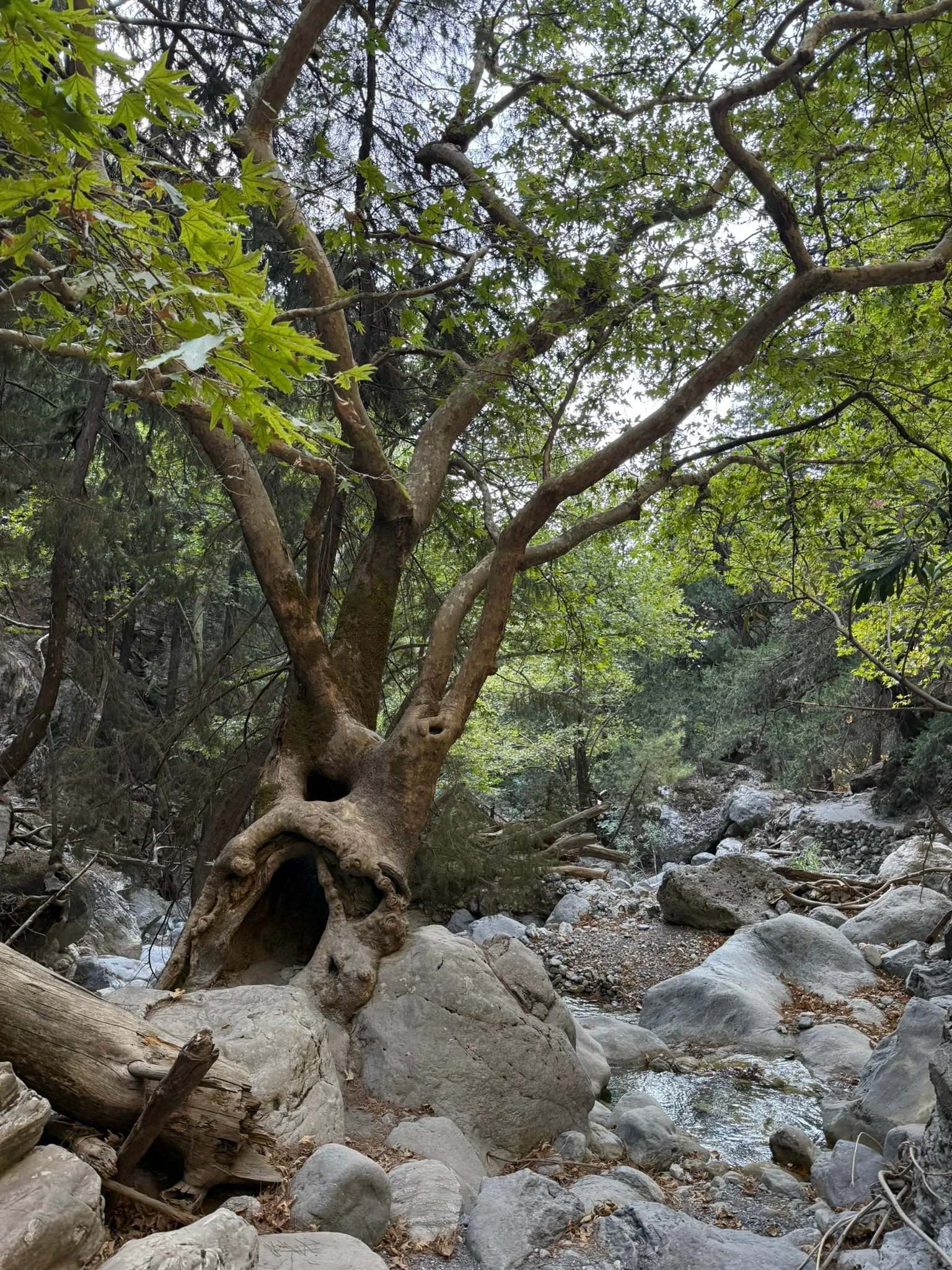 Samaria photo 3