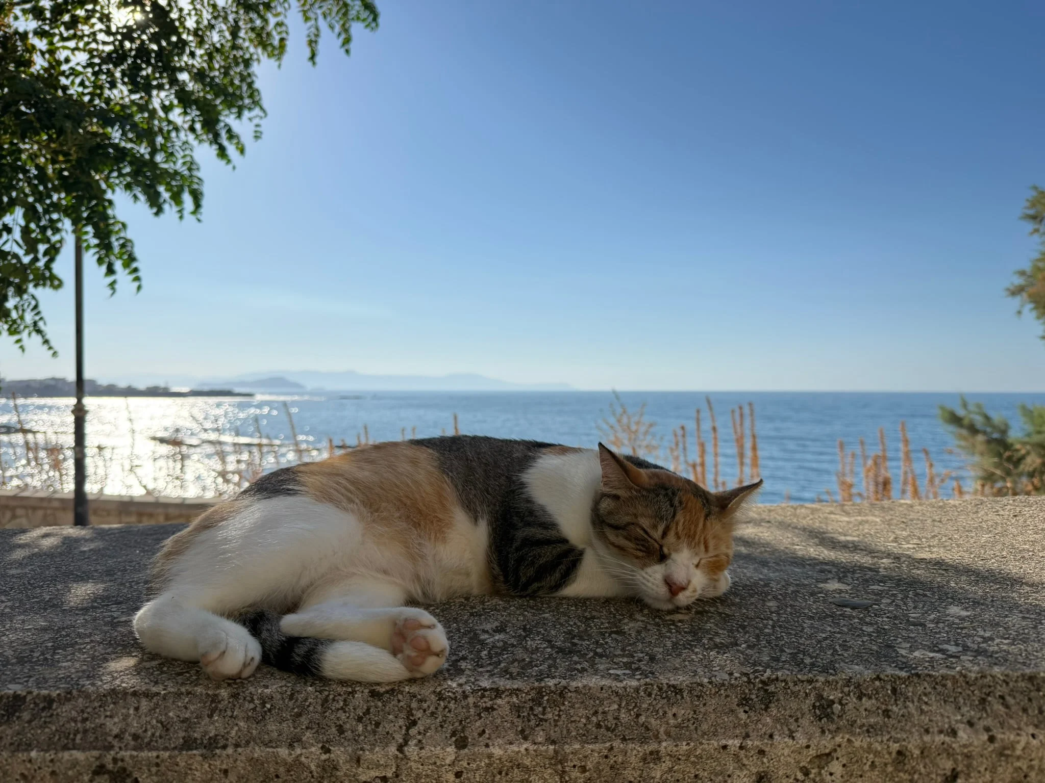 Chania photo 14