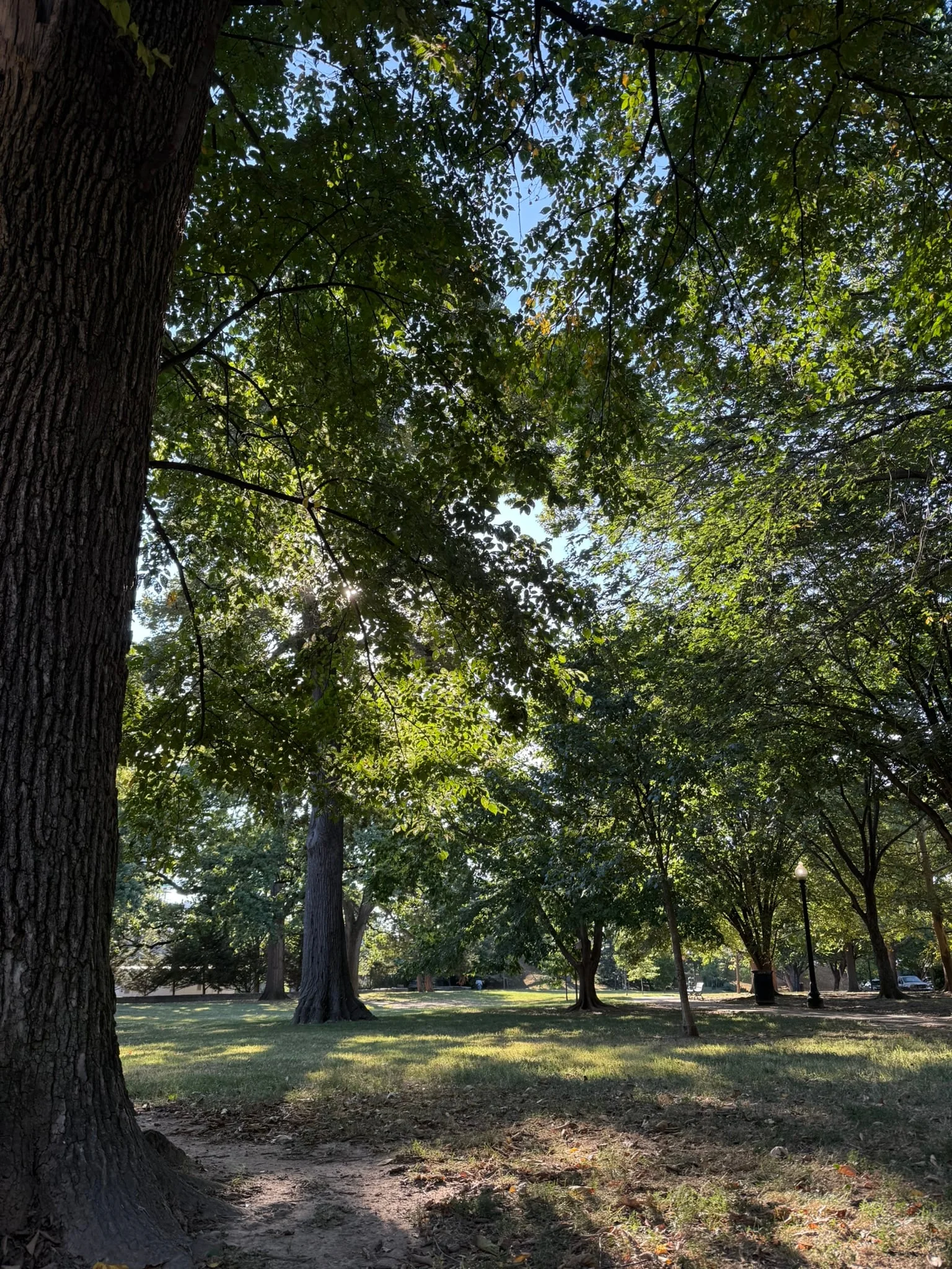 Washington, D.C. photo 3