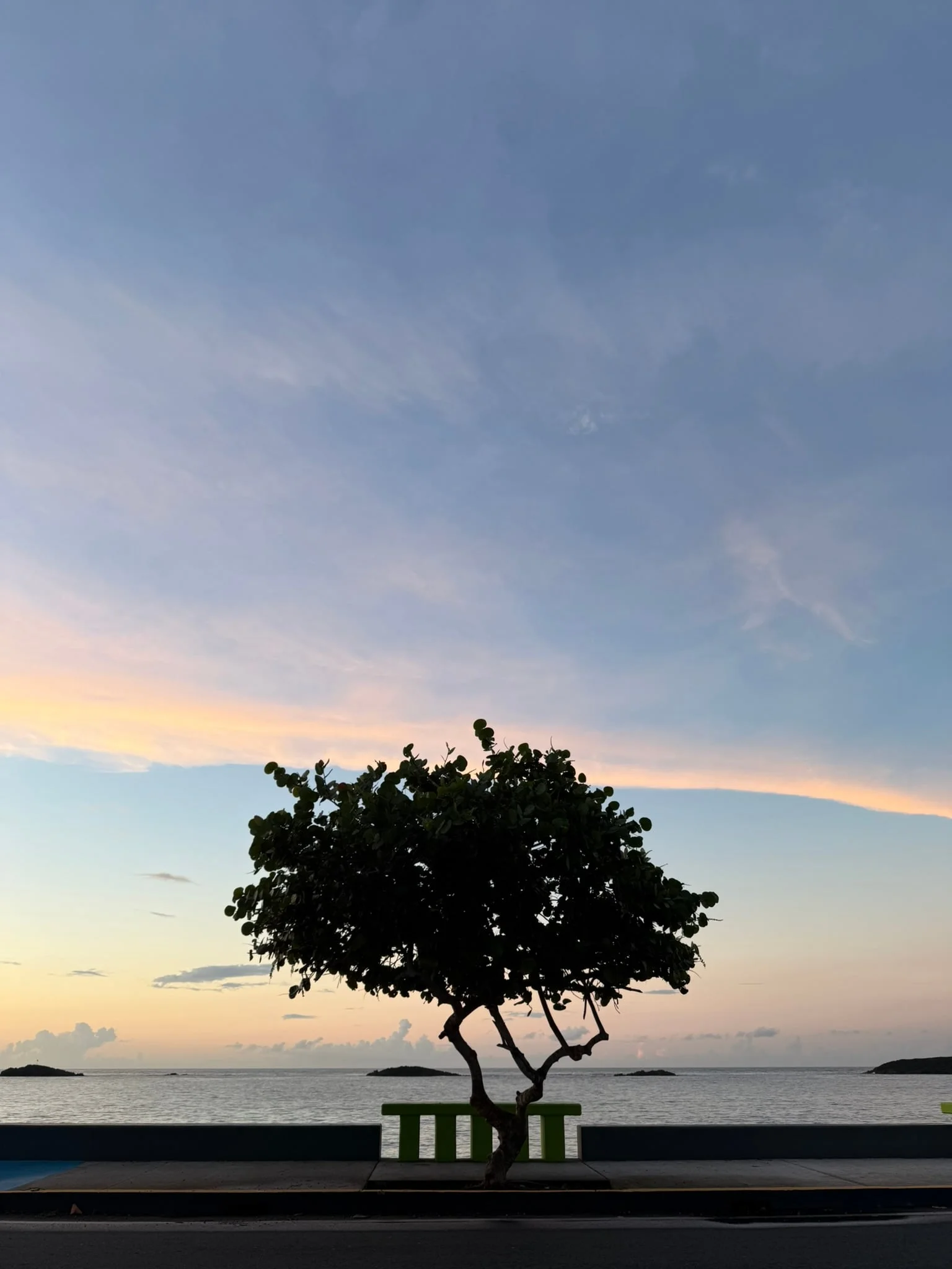 Vega Baja