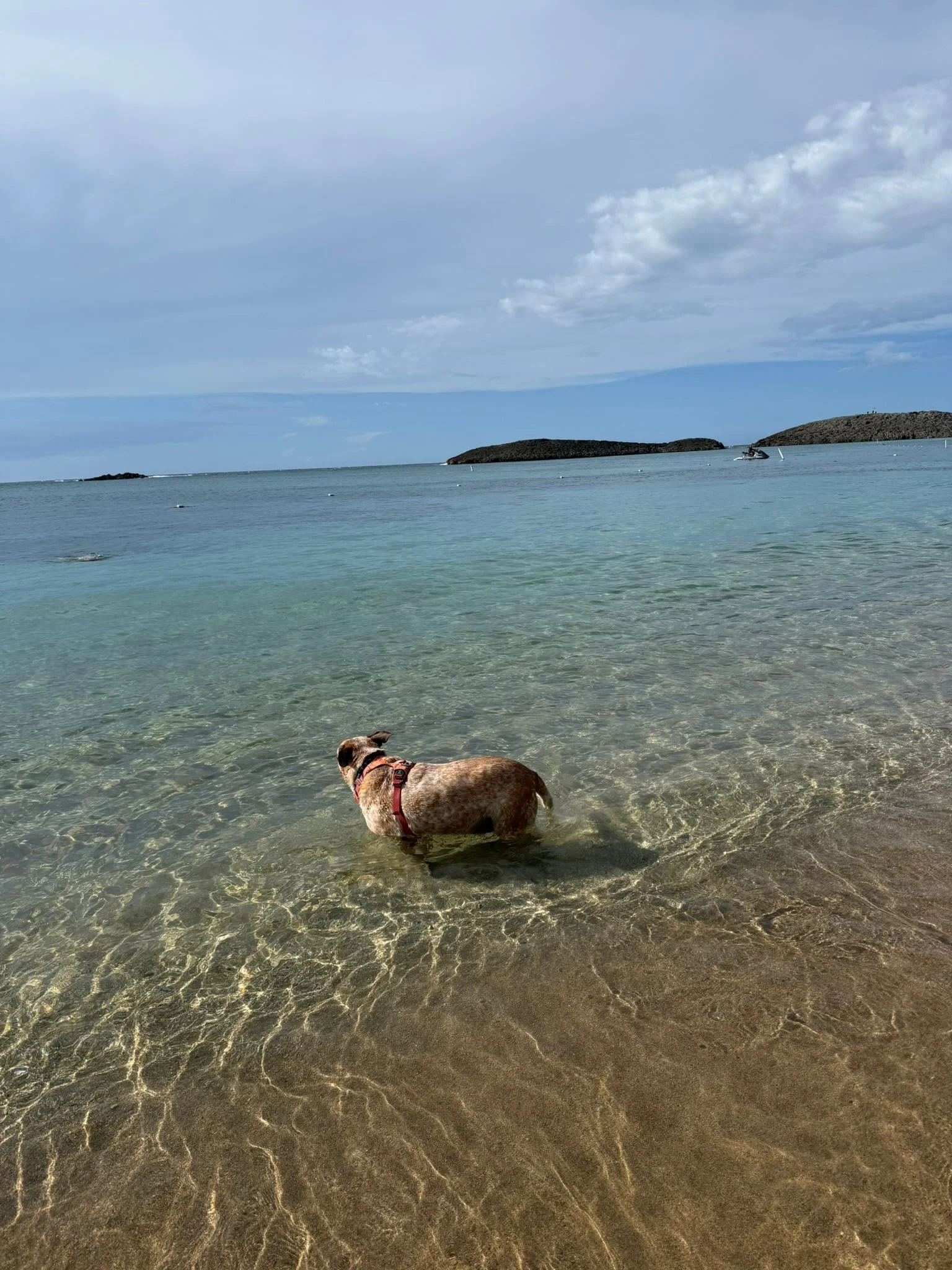 The sabbatical was worth it just to spend more time with her.