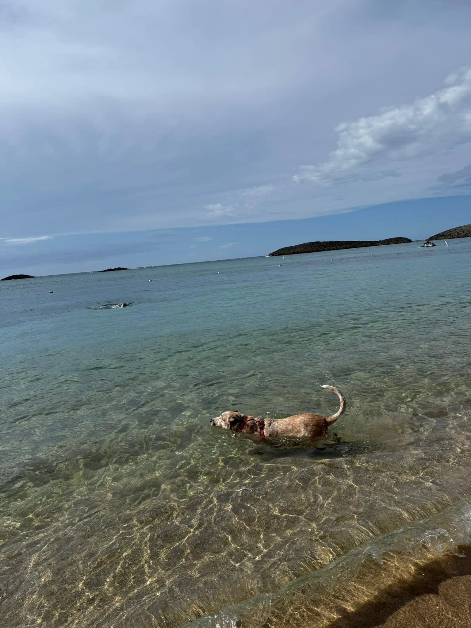 Vega Baja photo 5