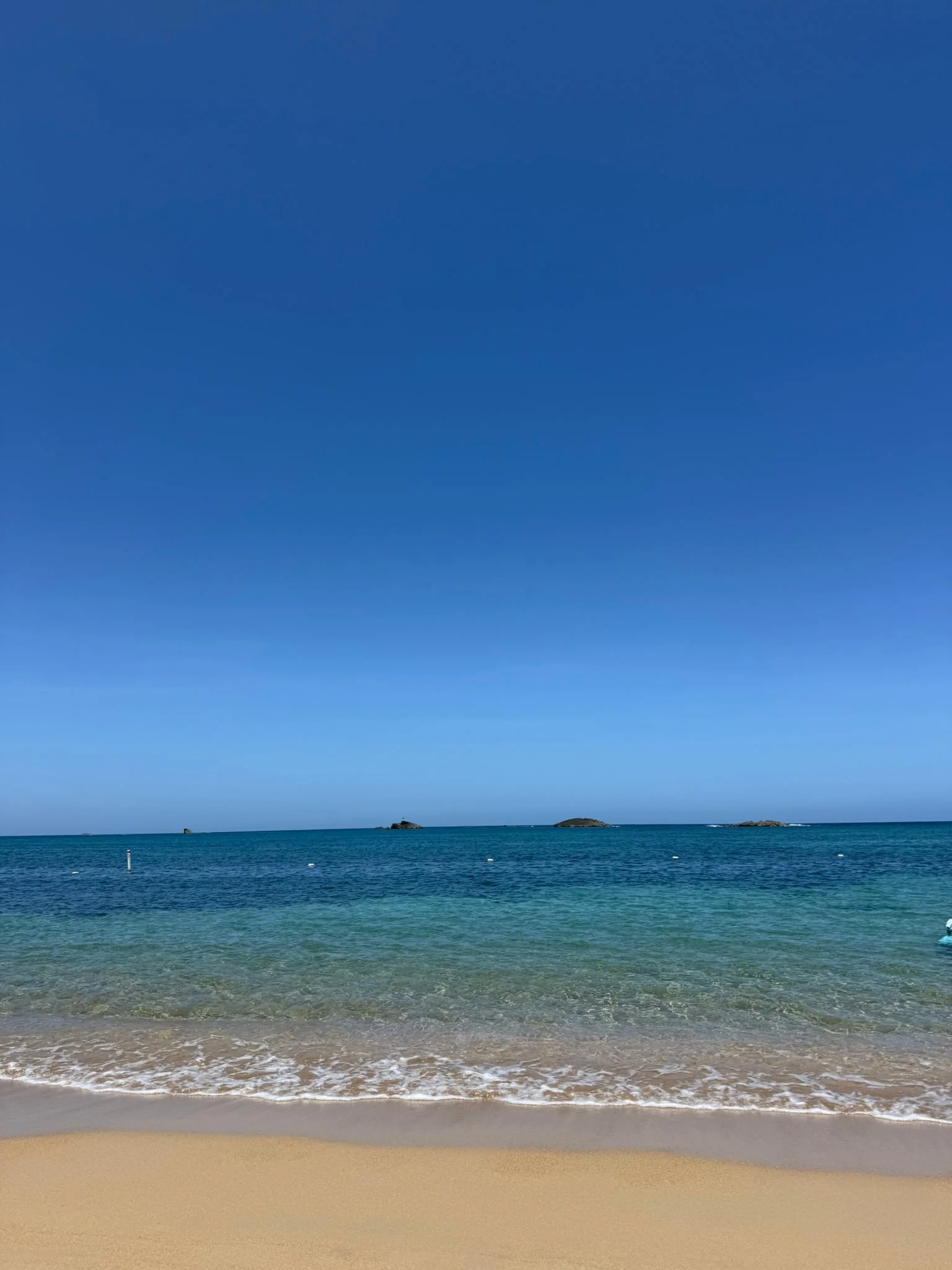 Vega Baja photo 6