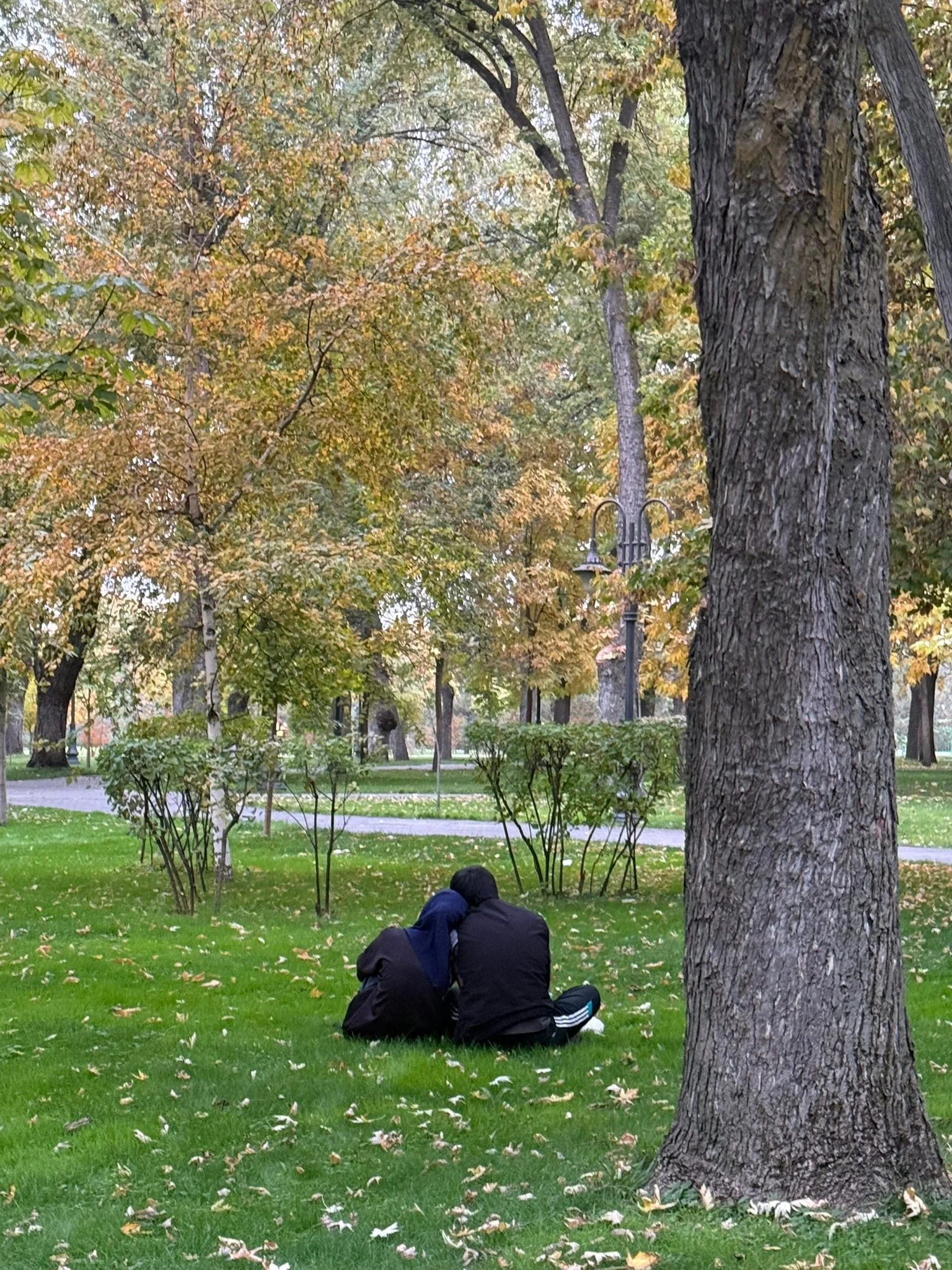 Tashkent photo 5