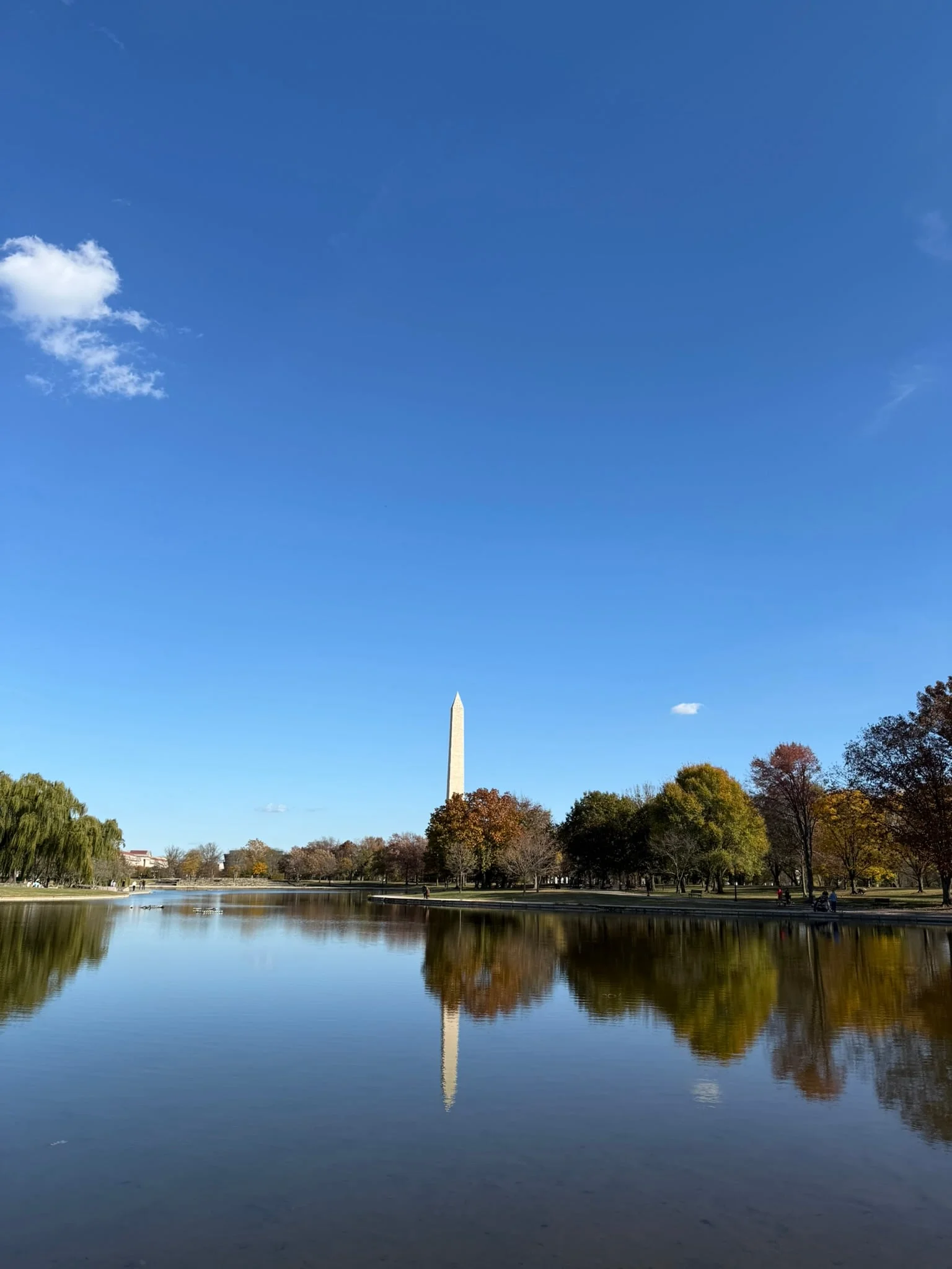 Washington, D.C. photo 6