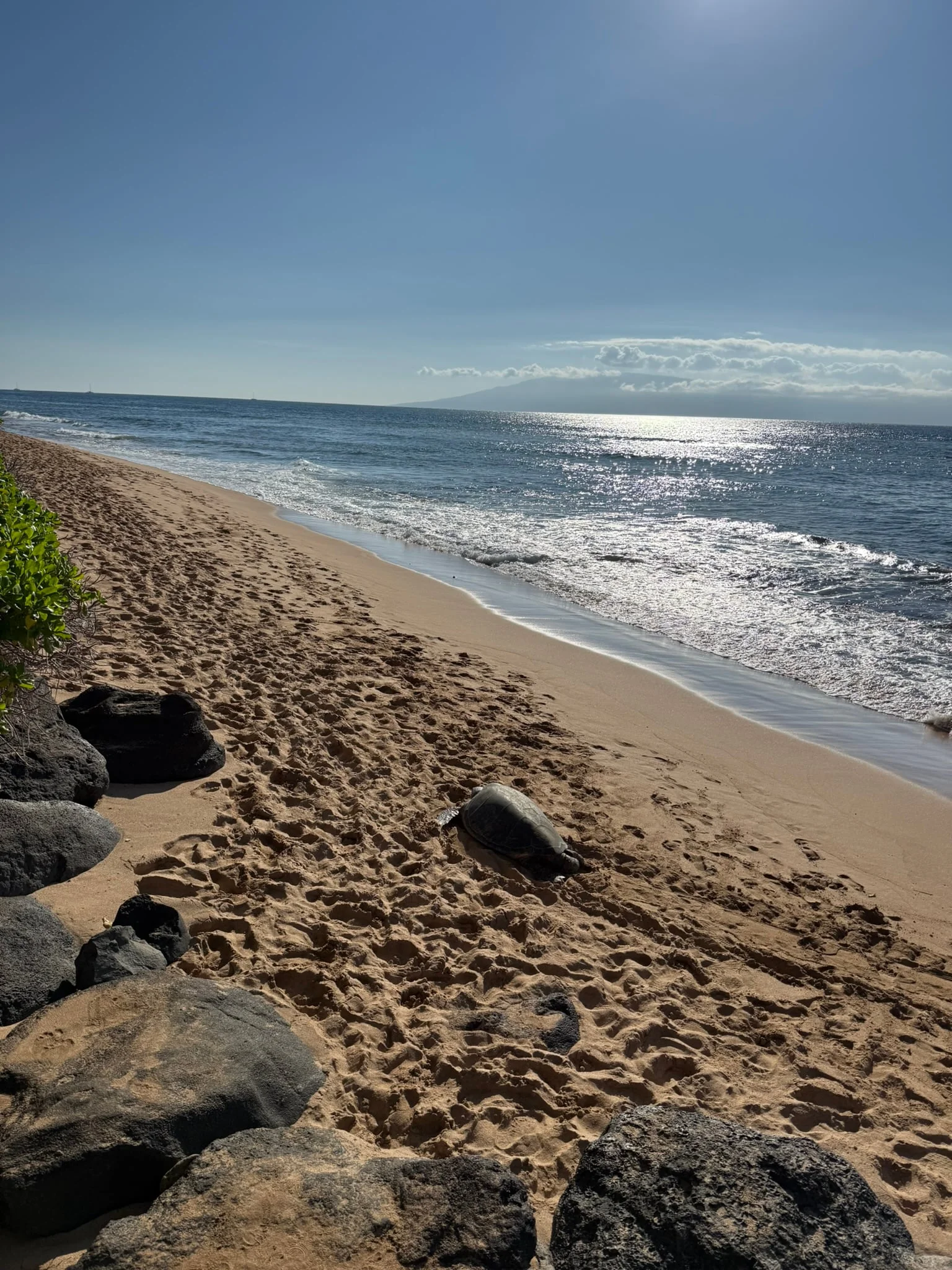 Maui photo 2