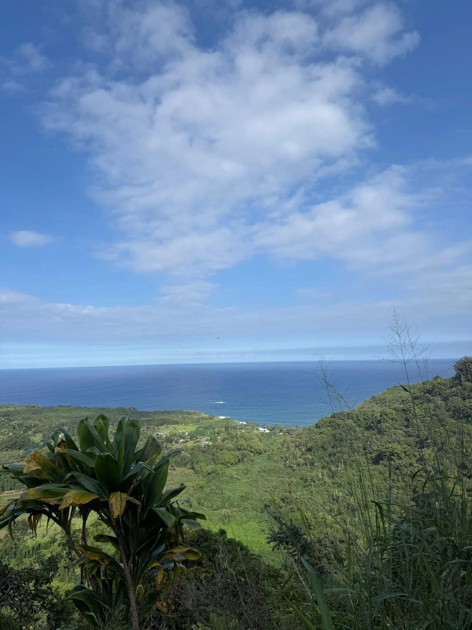 Maui photo 6