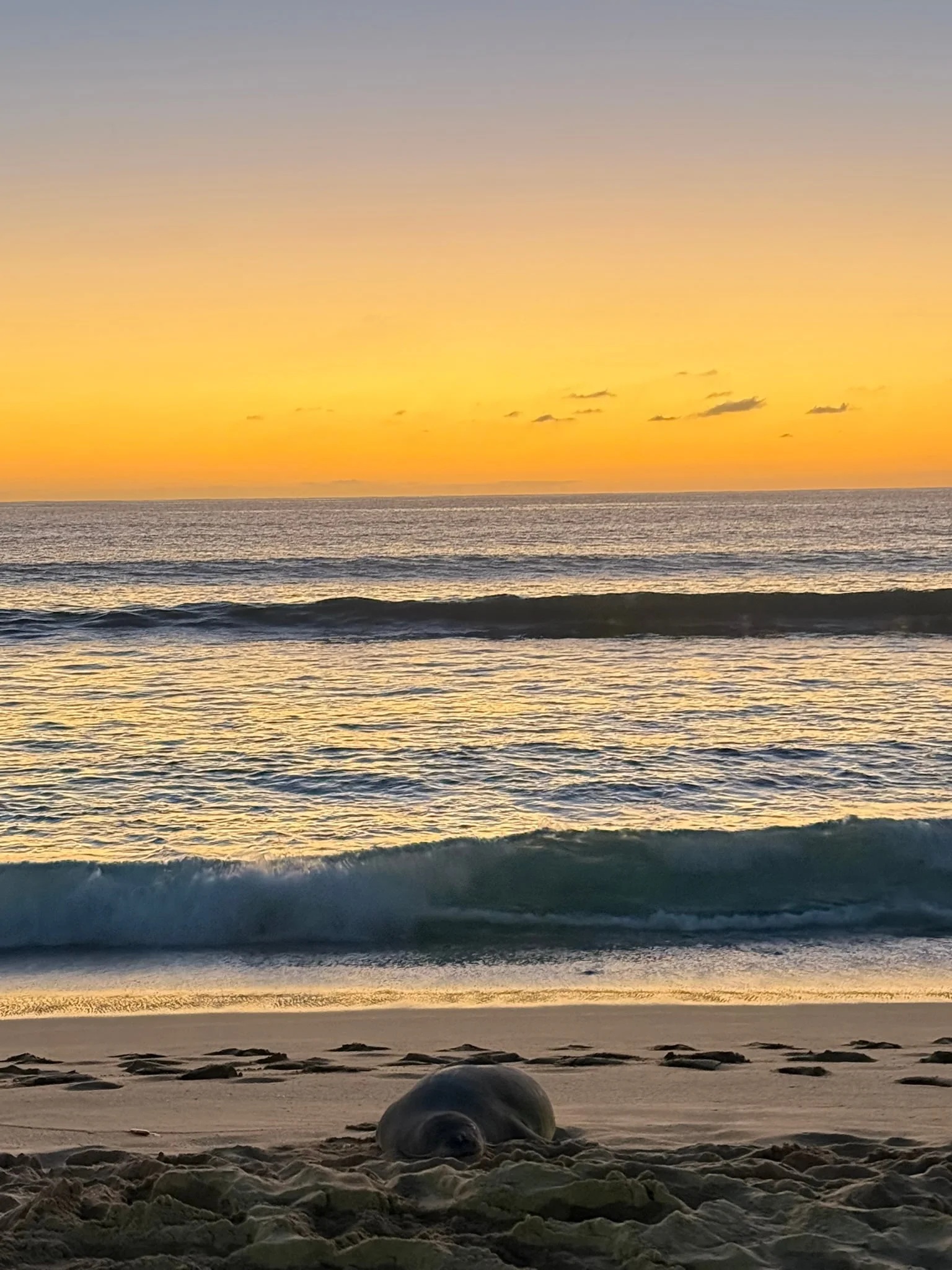 Oahu photo 5
