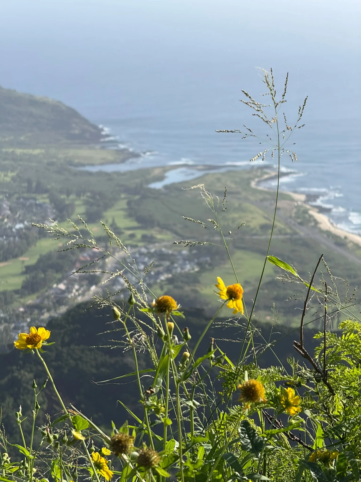 Oahu photo 14