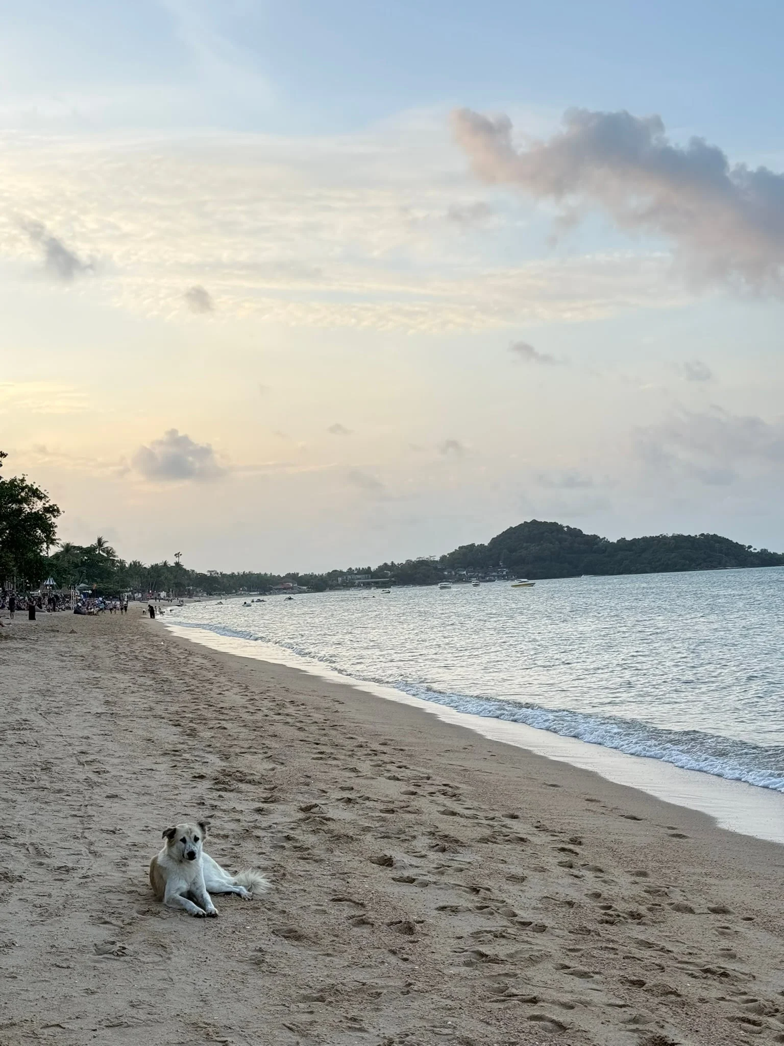 Koh Samui photo 2