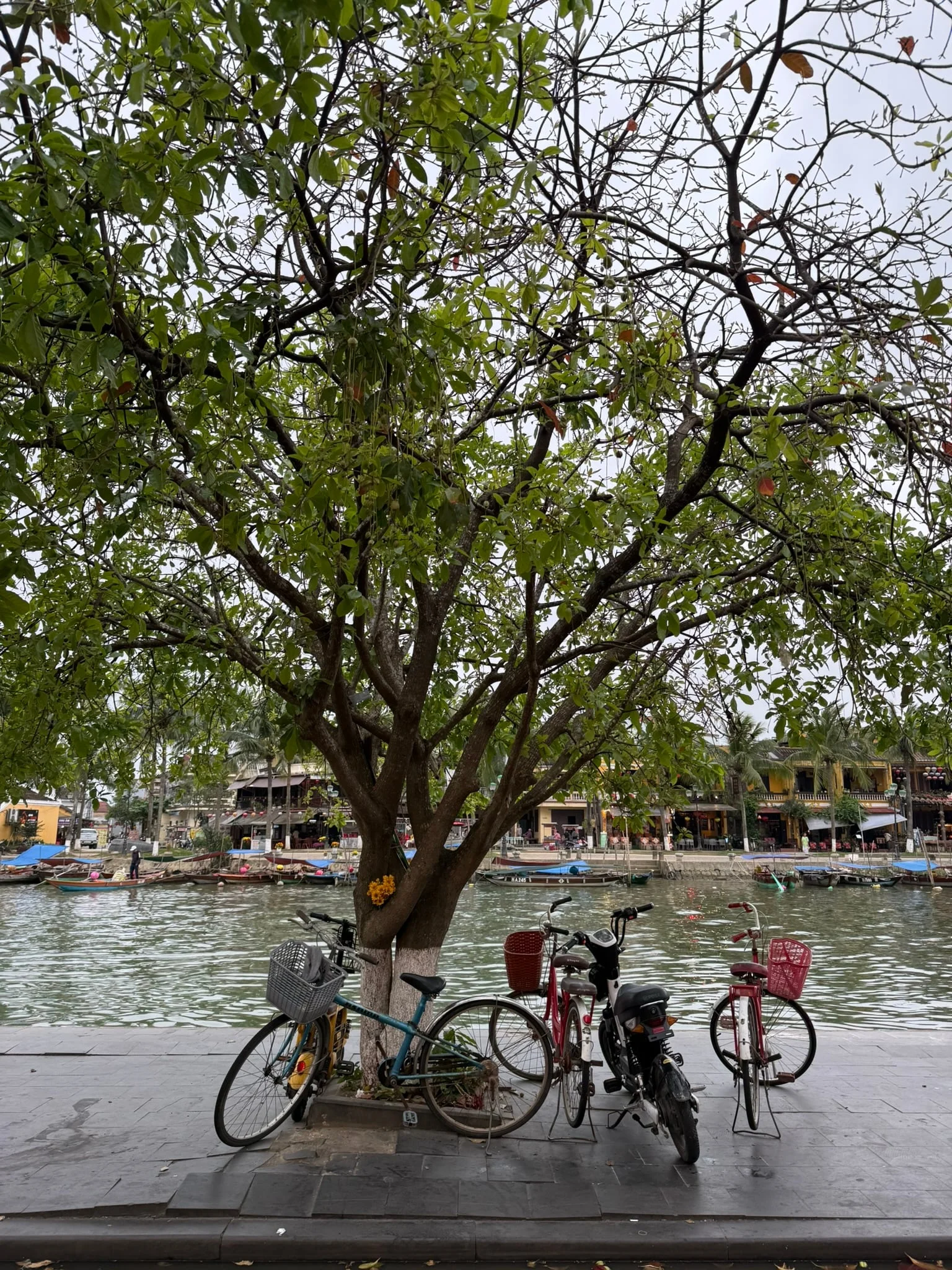 Hoi An photo 2