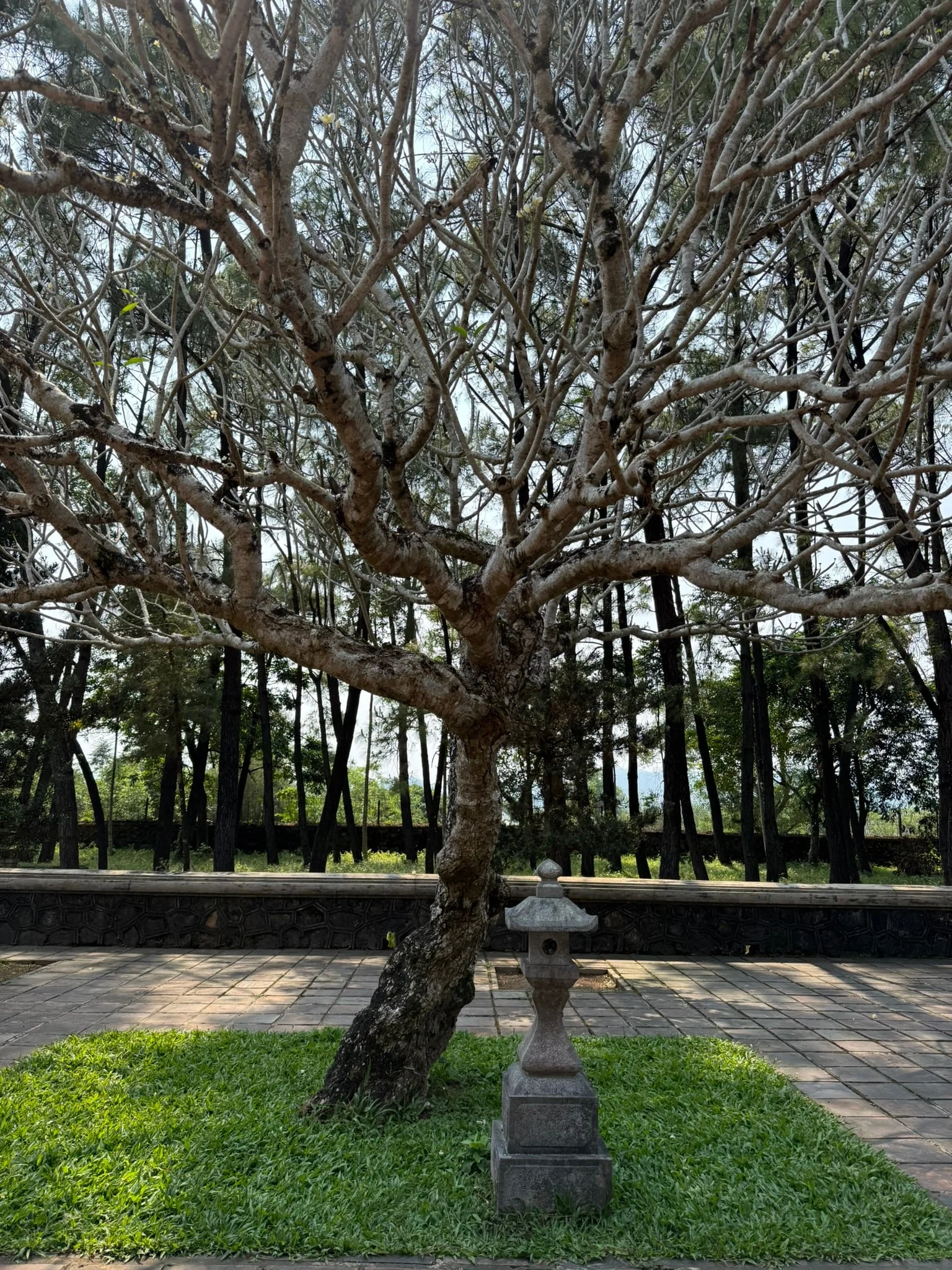 Hue photo 7