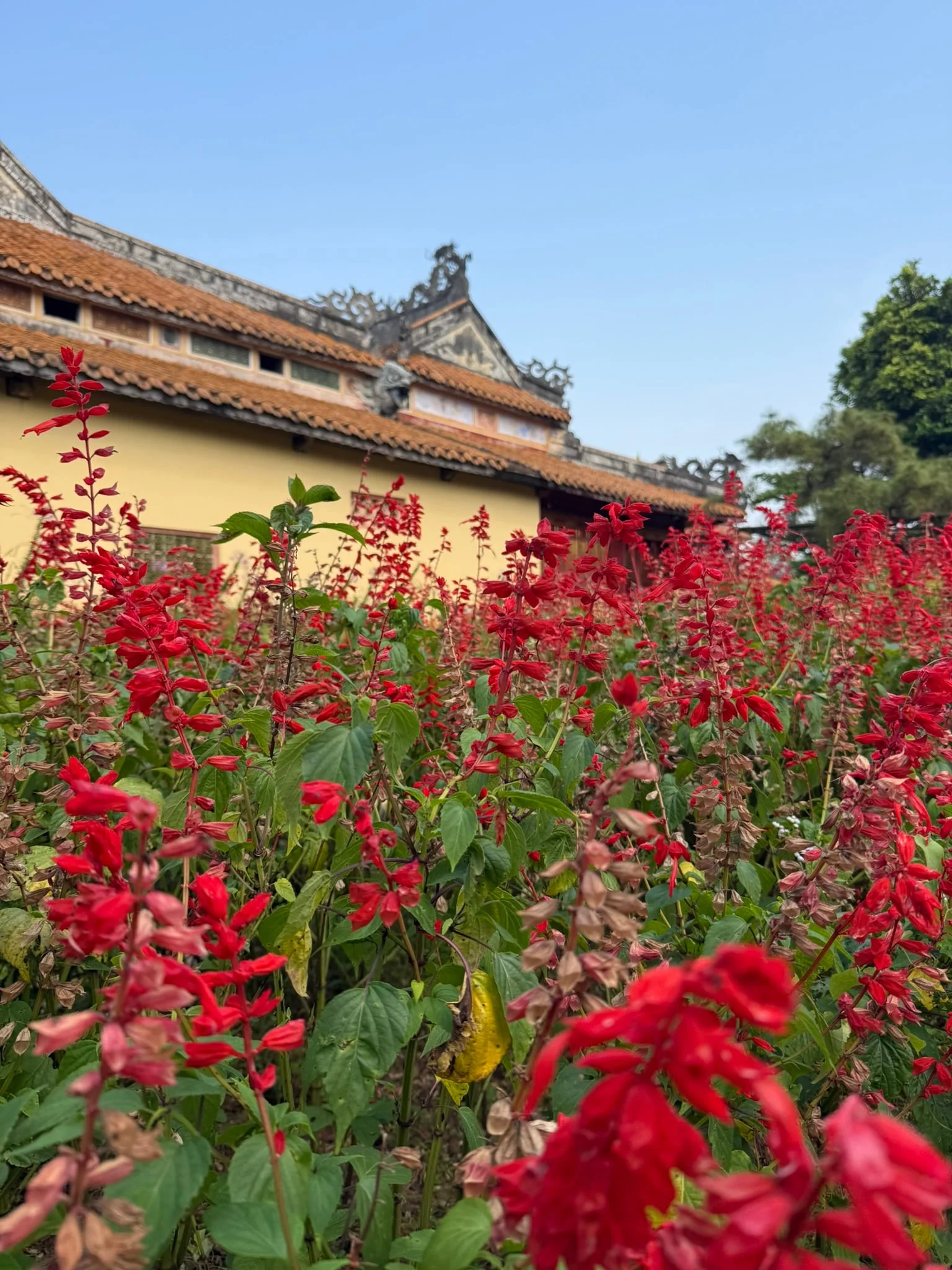Hue photo 11