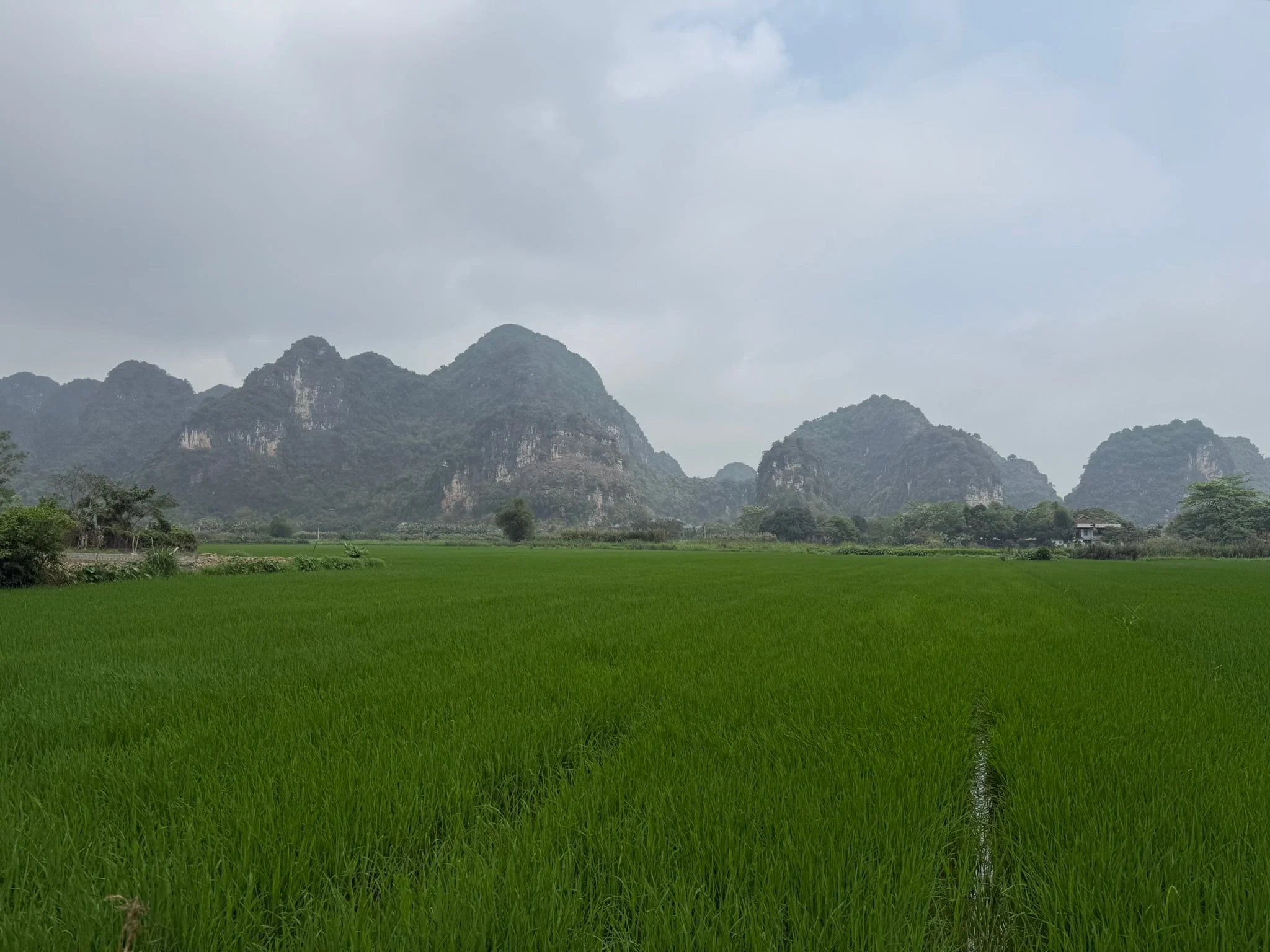 Ninh Binh photo 5