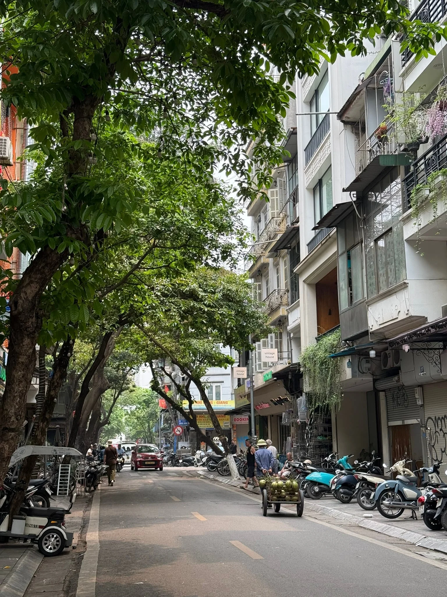 Hanoi photo 6