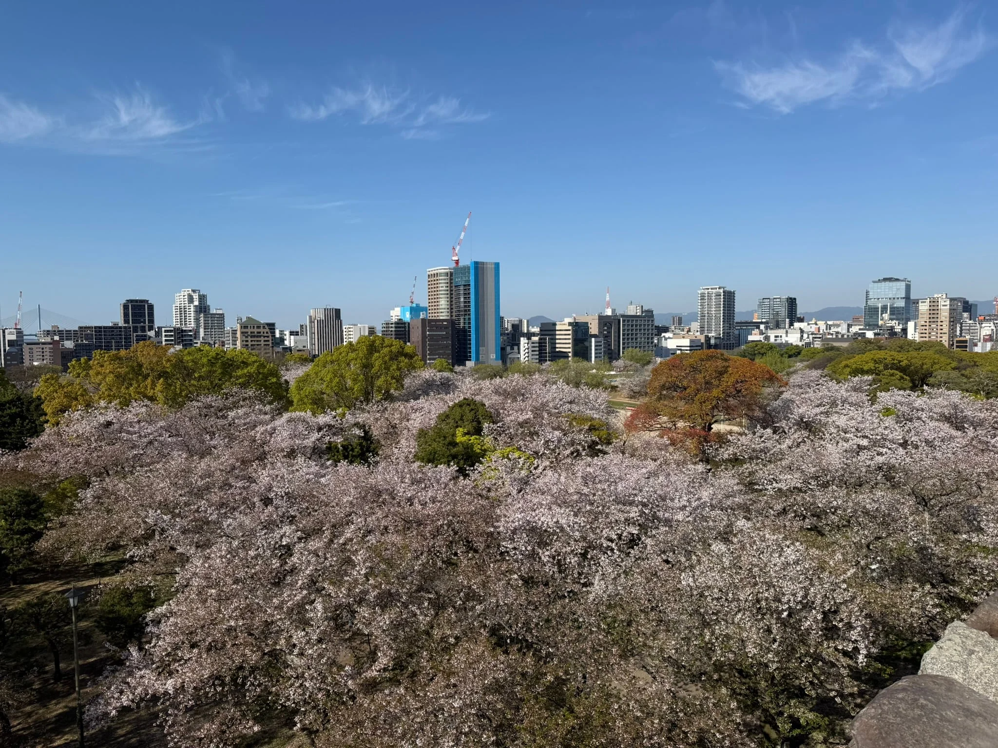 Fukuoka photo 6