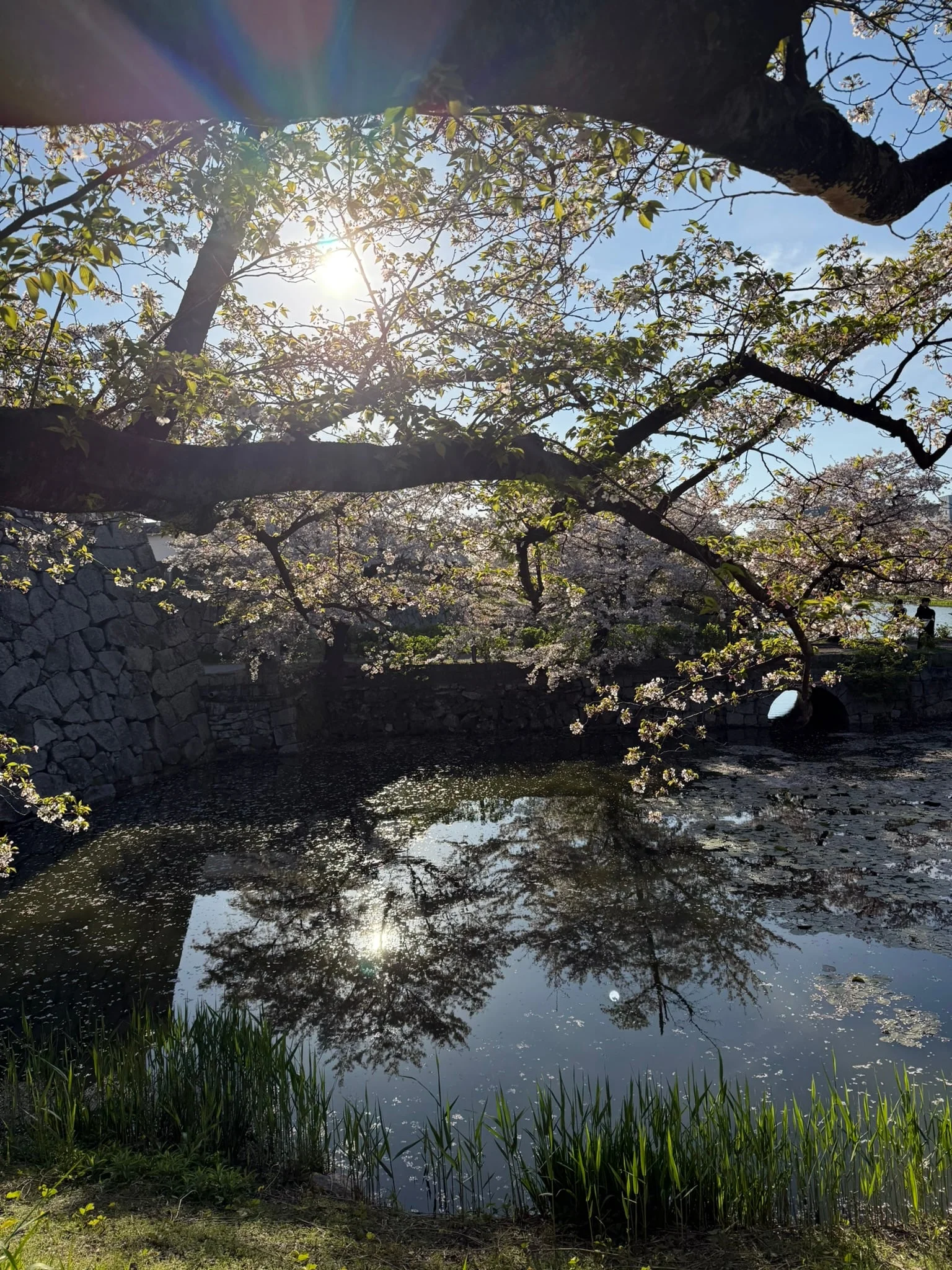 Fukuoka photo 7