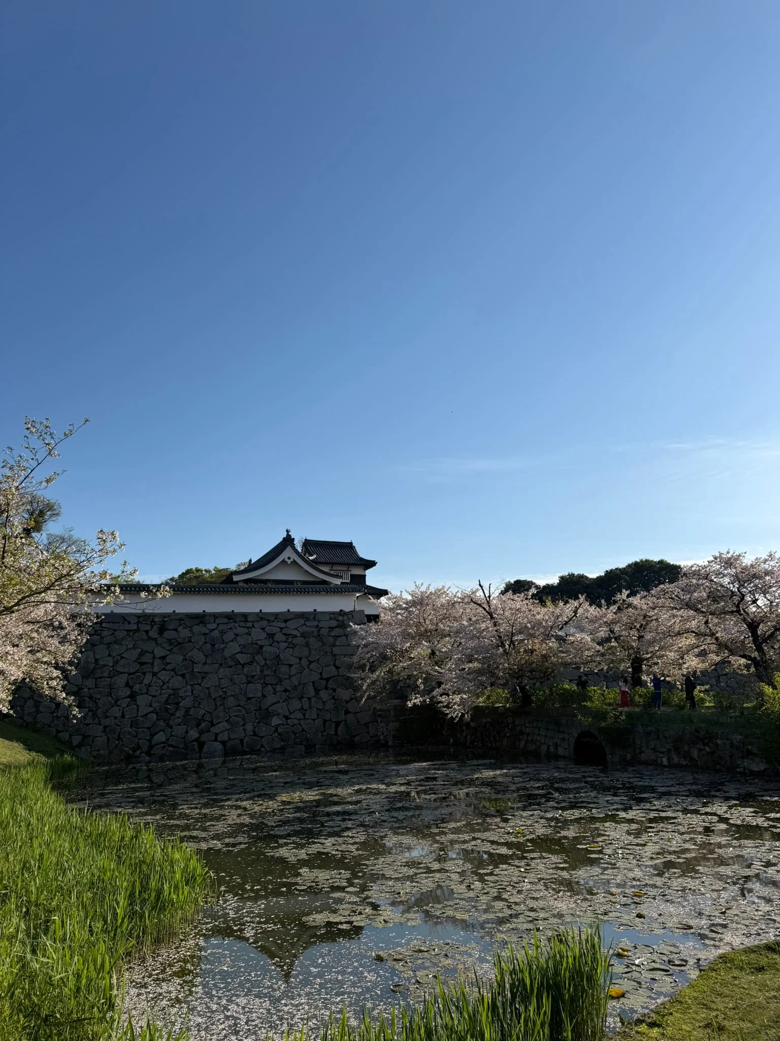 Fukuoka photo 8