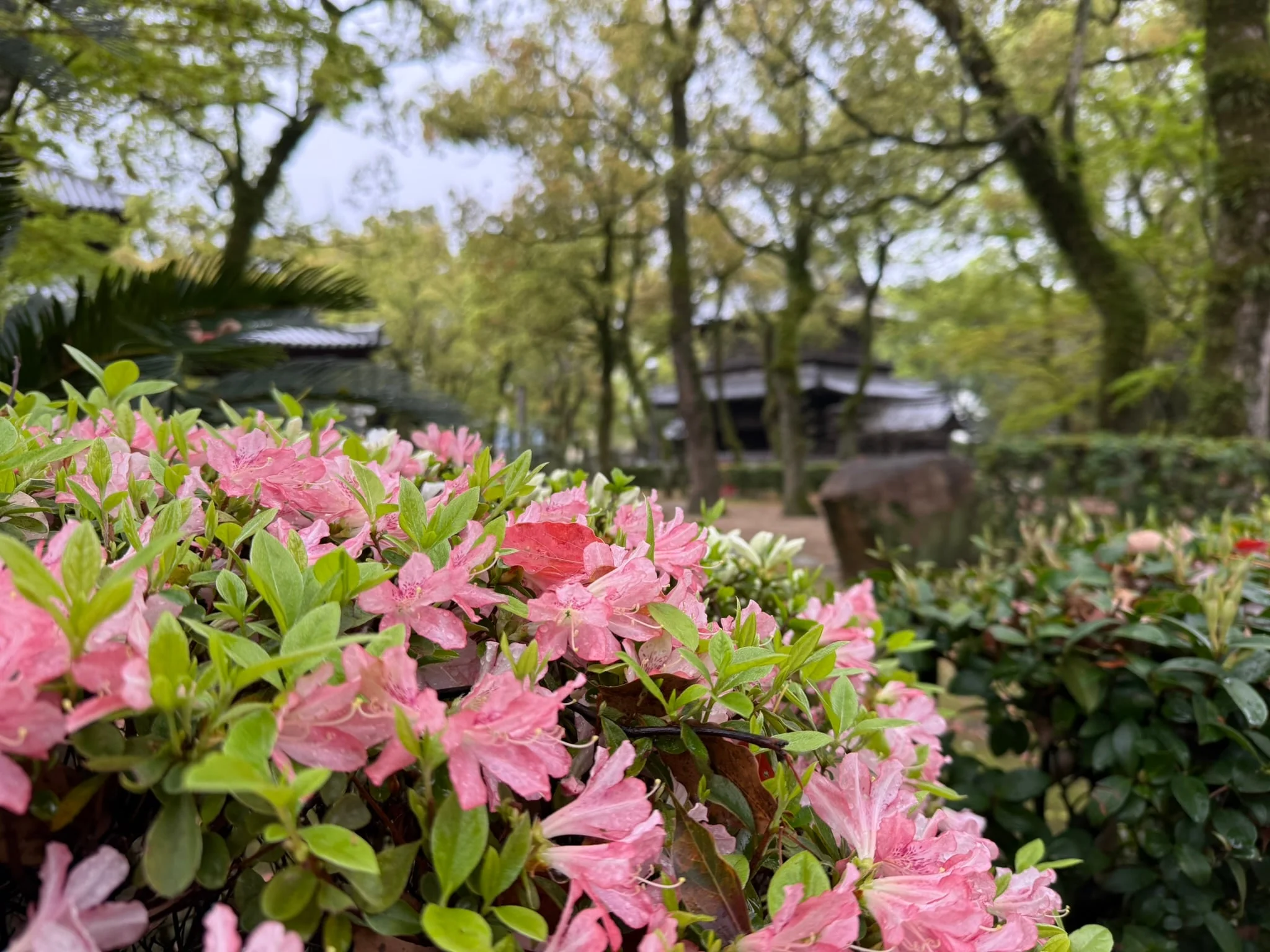 Fukuoka photo 10