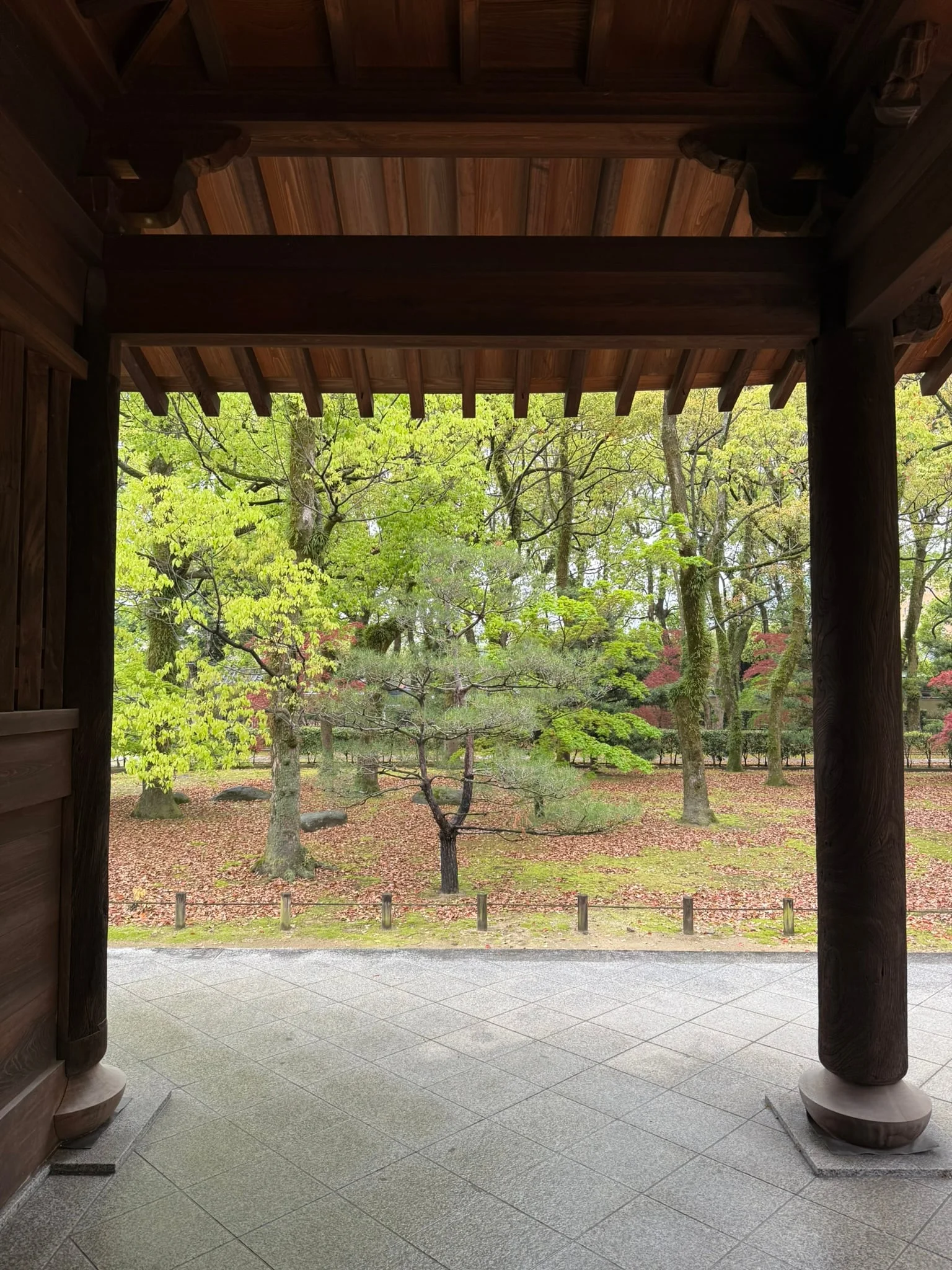 Fukuoka photo 11