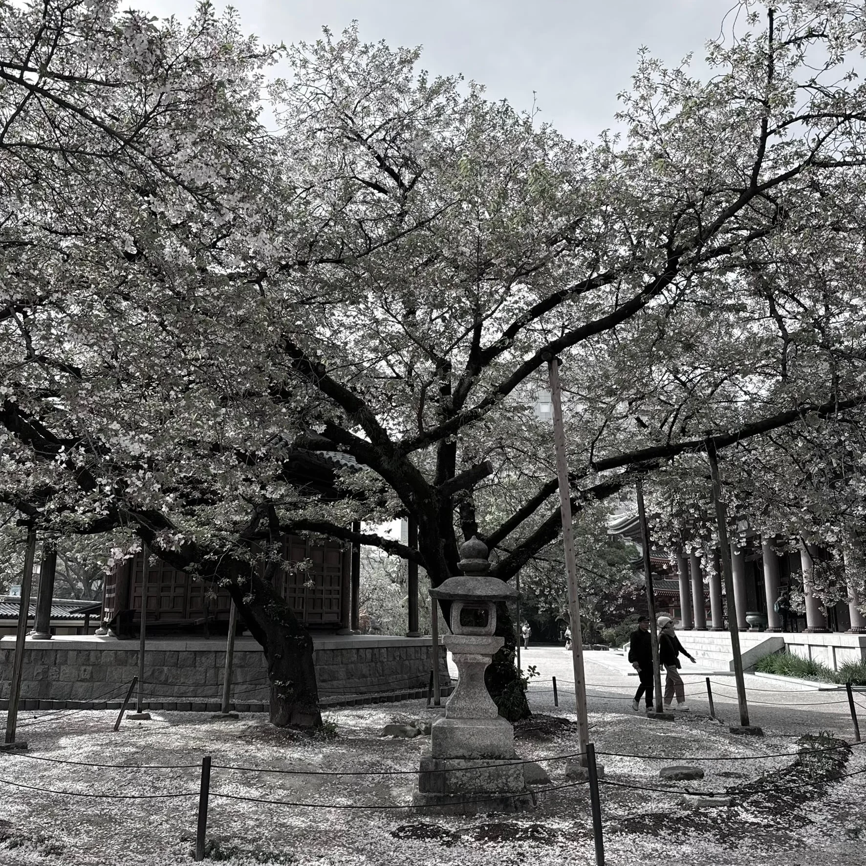 Fukuoka photo 15