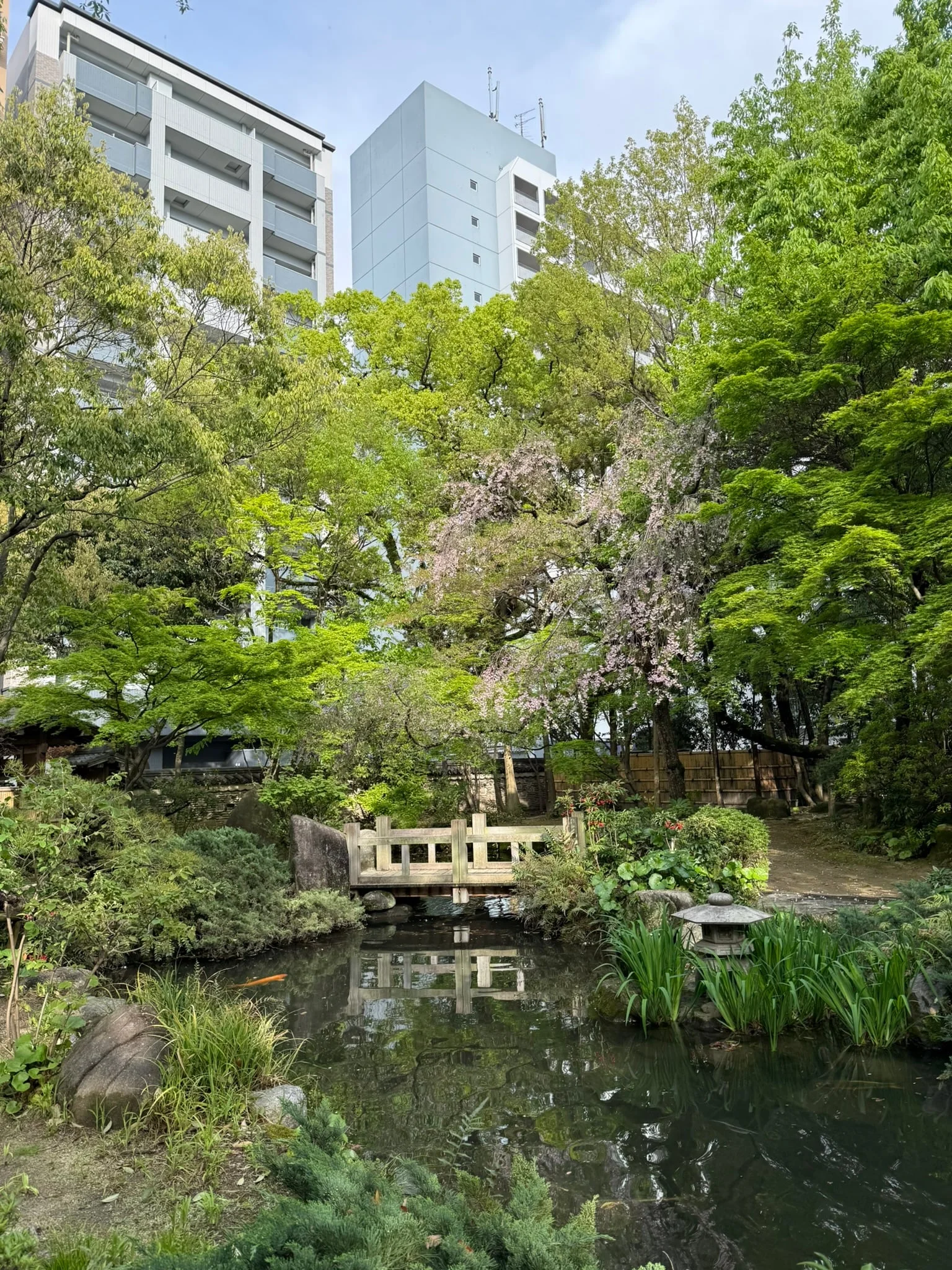 Fukuoka photo 16