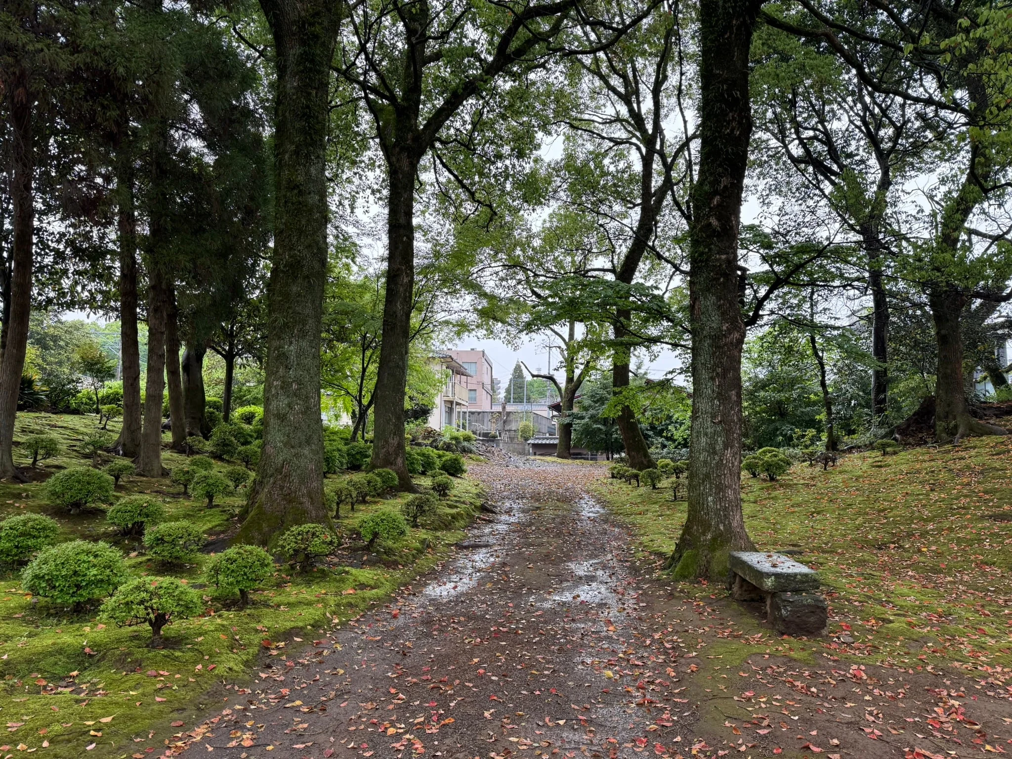 Kumamoto photo 2