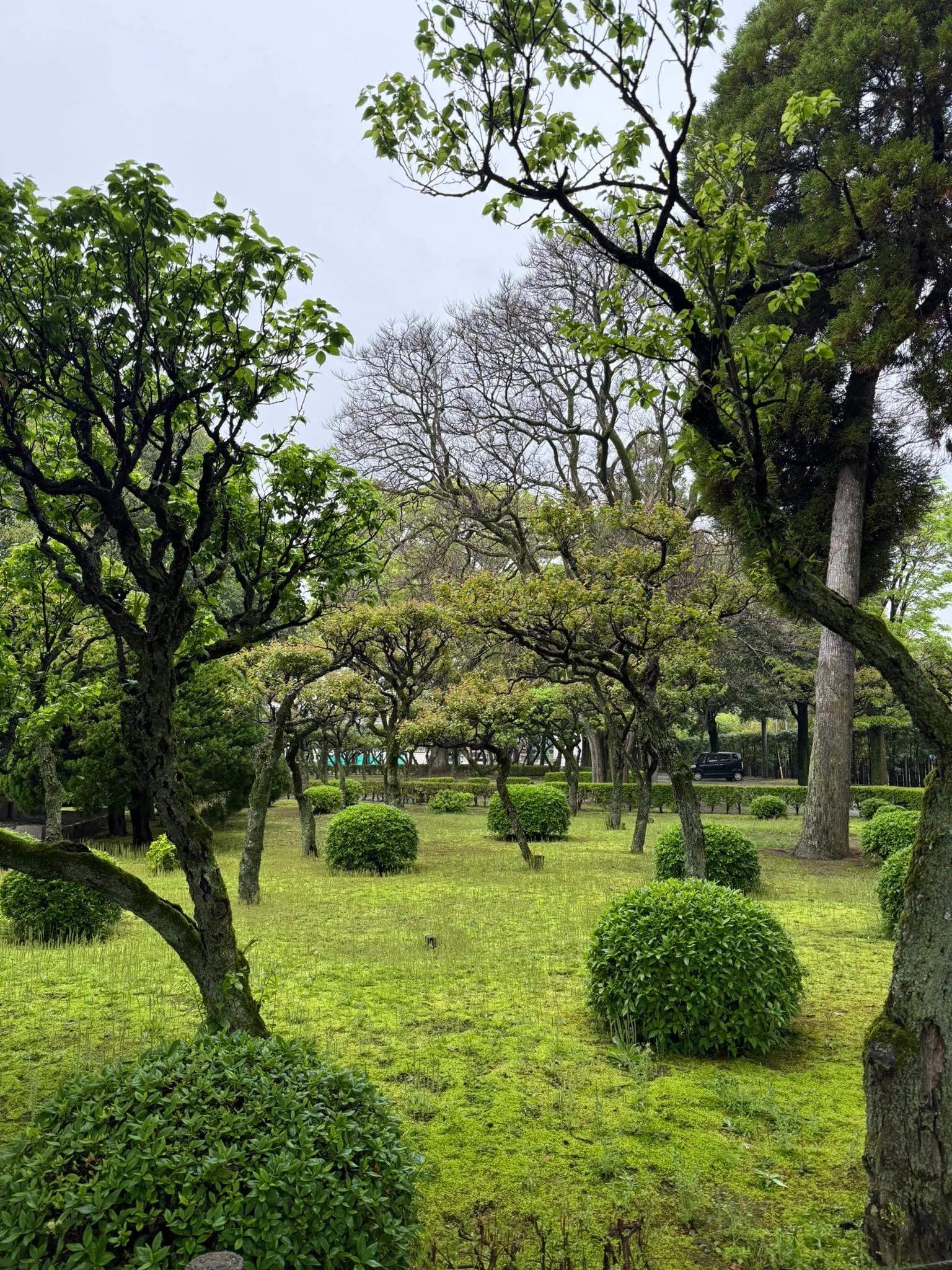 Kumamoto photo 3
