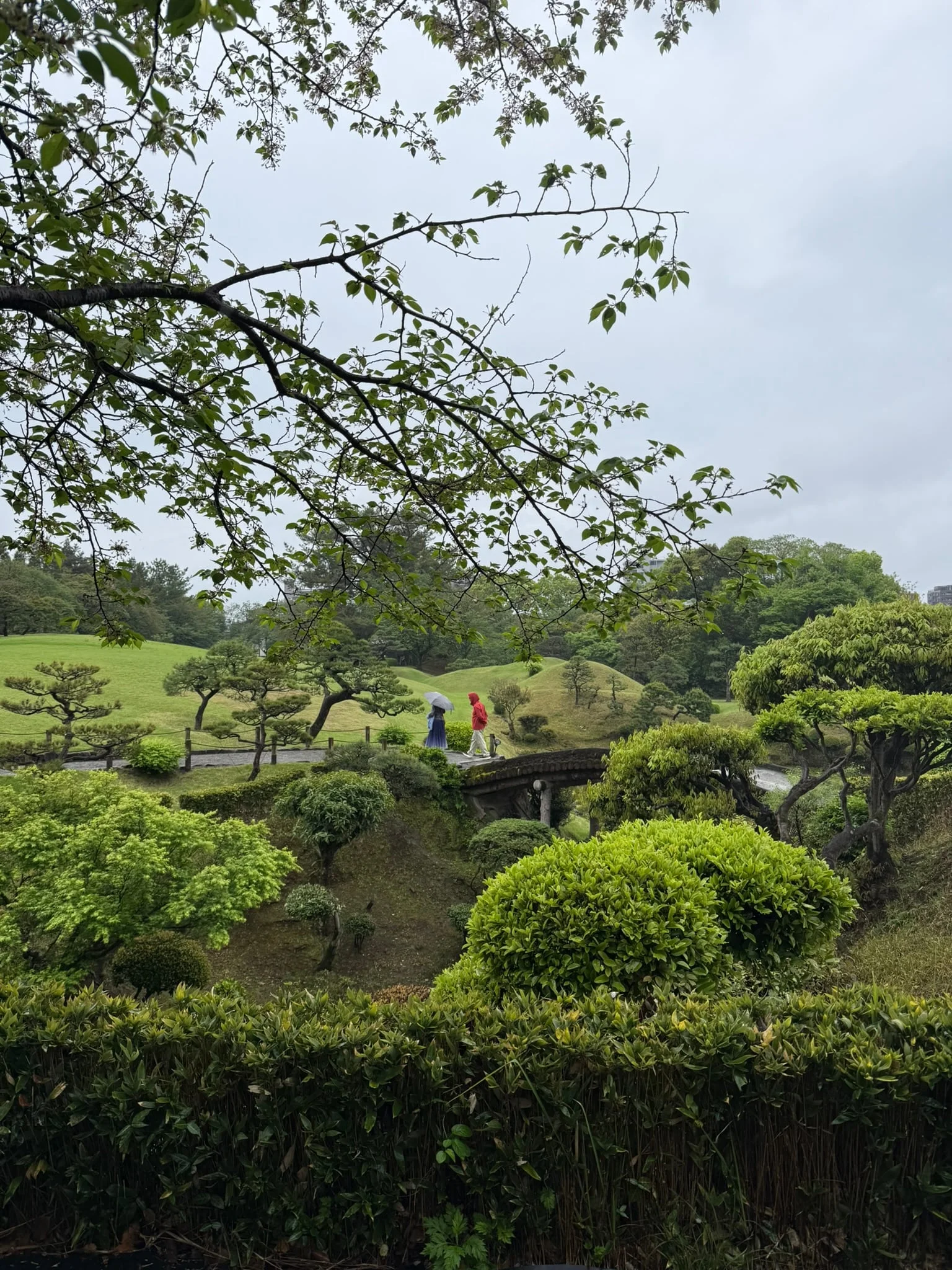 Kumamoto photo 6