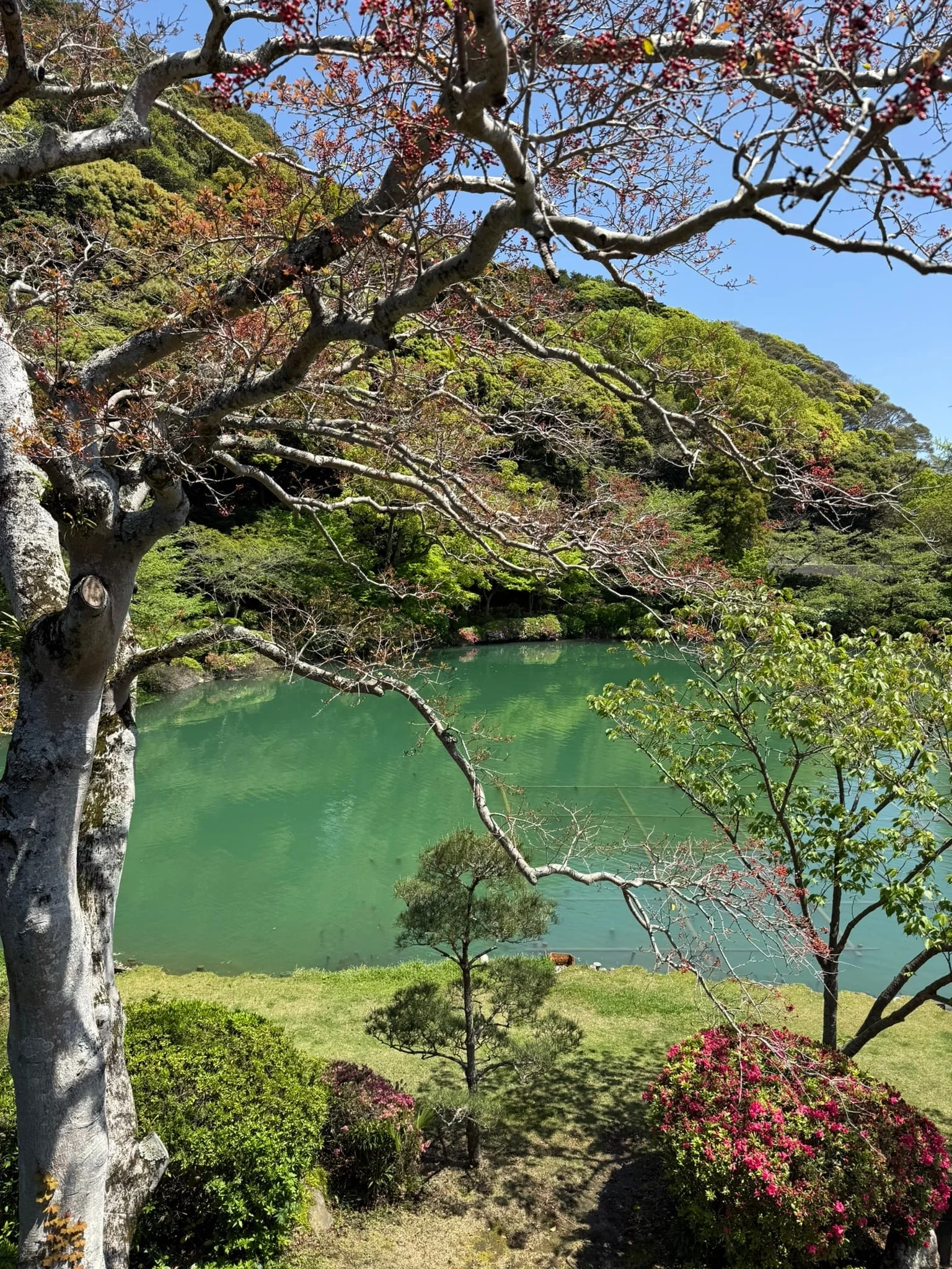 Beppu photo 2