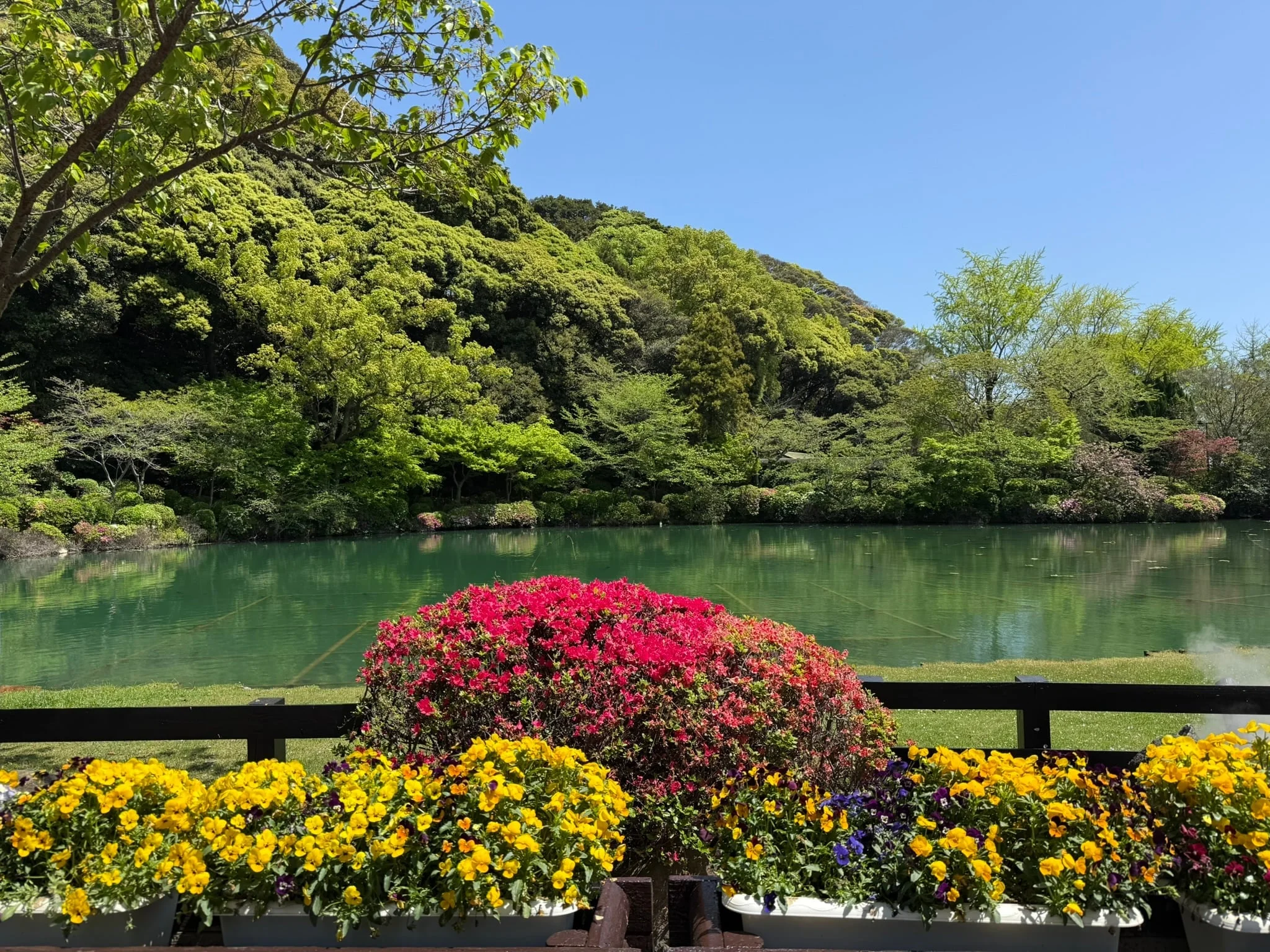 Beppu photo 3
