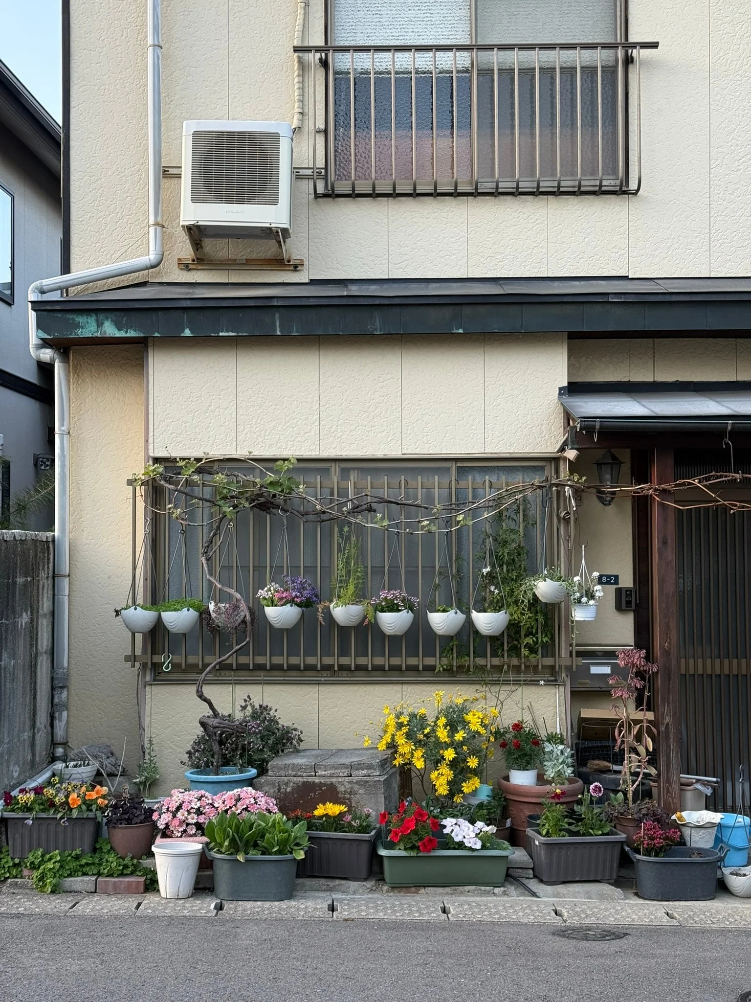 Beppu photo 8