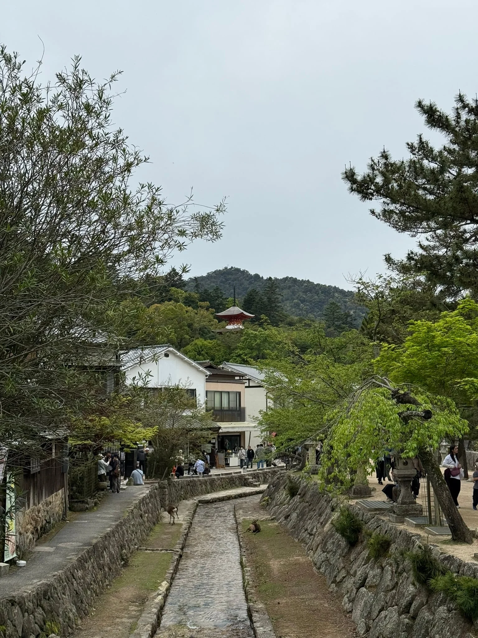 Miyajima photo 4