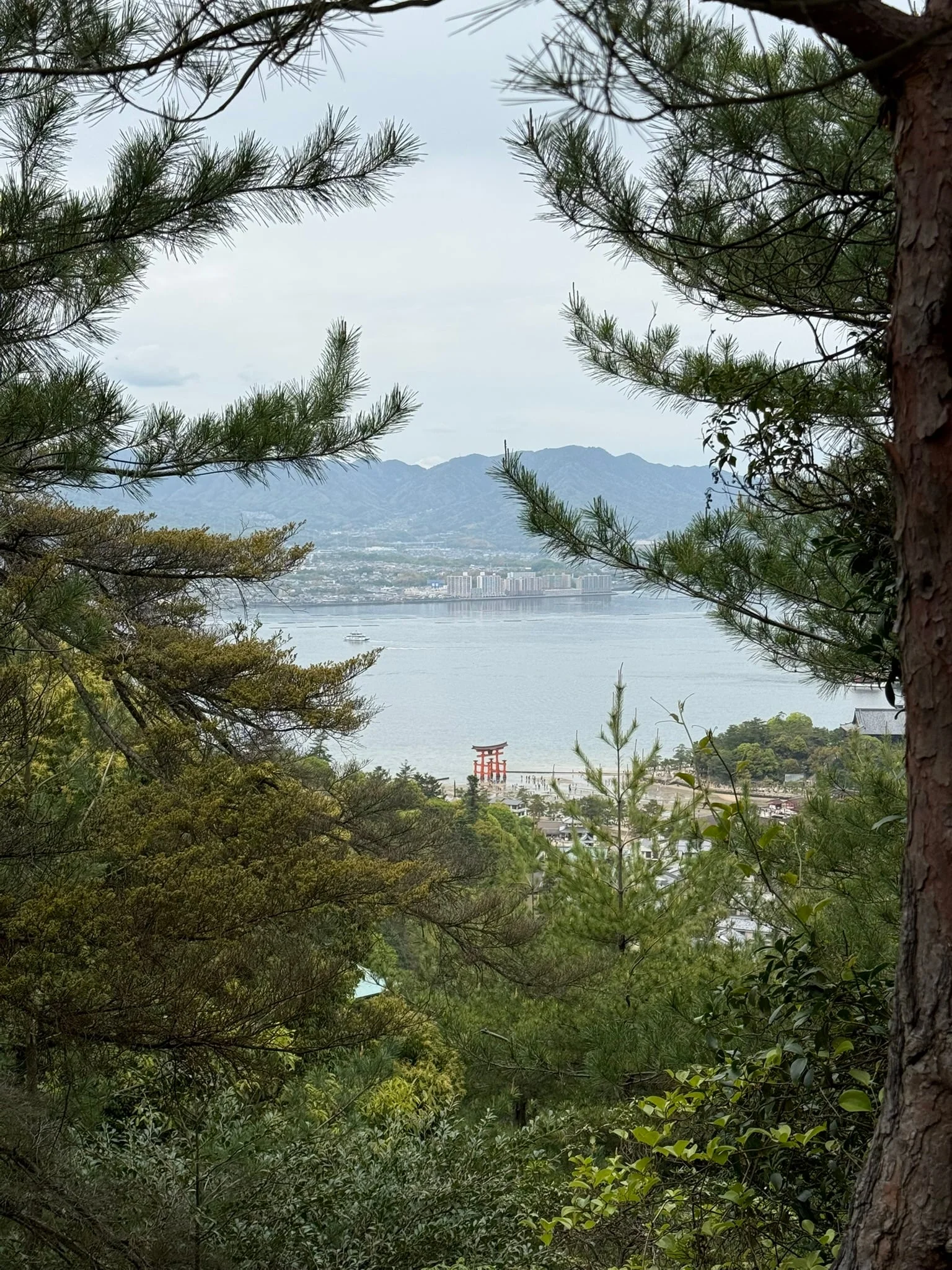 Miyajima photo 5