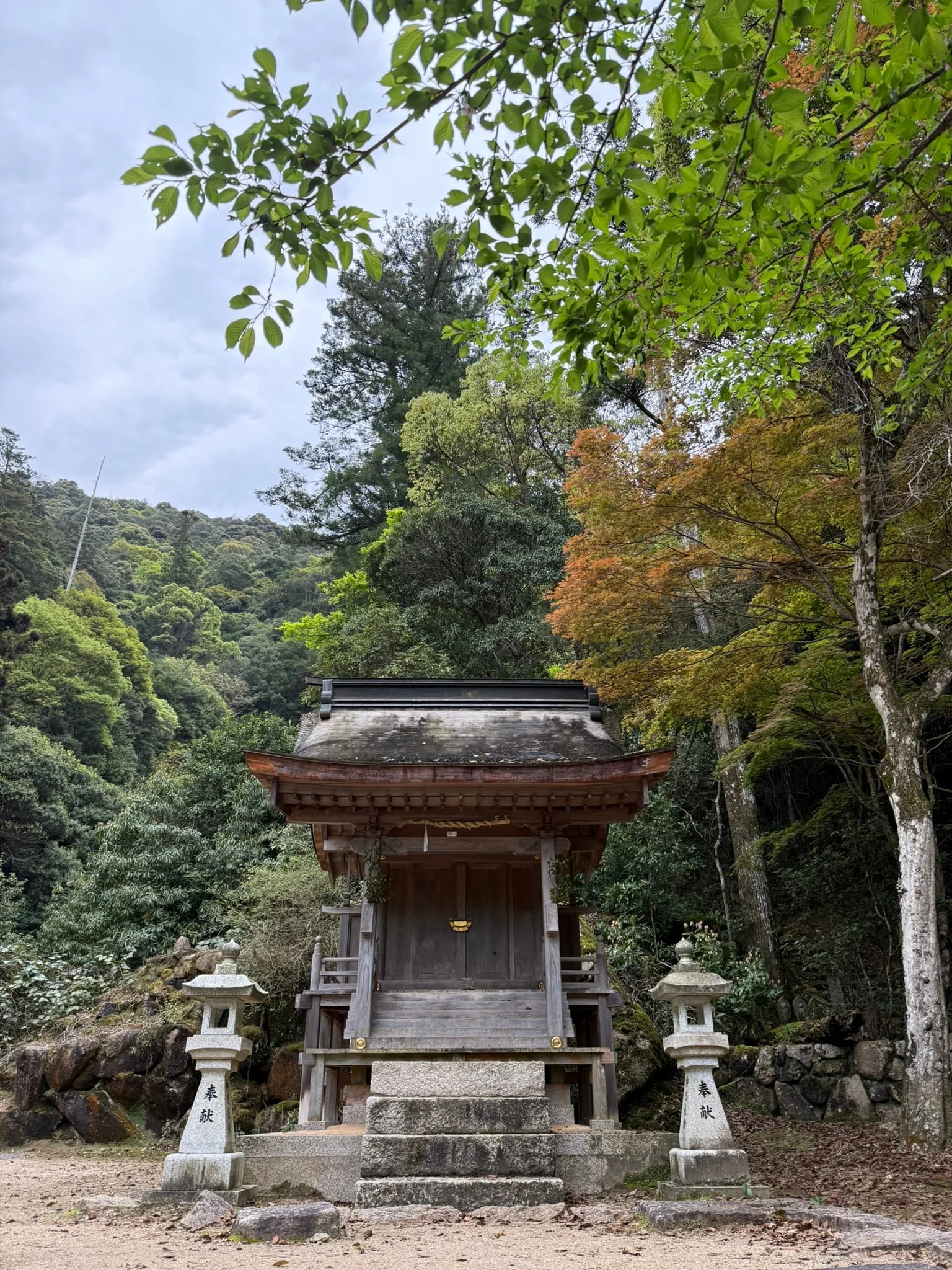 Miyajima photo 11
