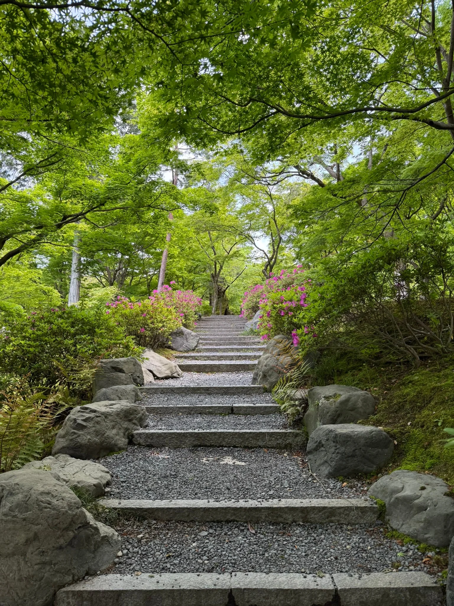 Kyoto photo 2
