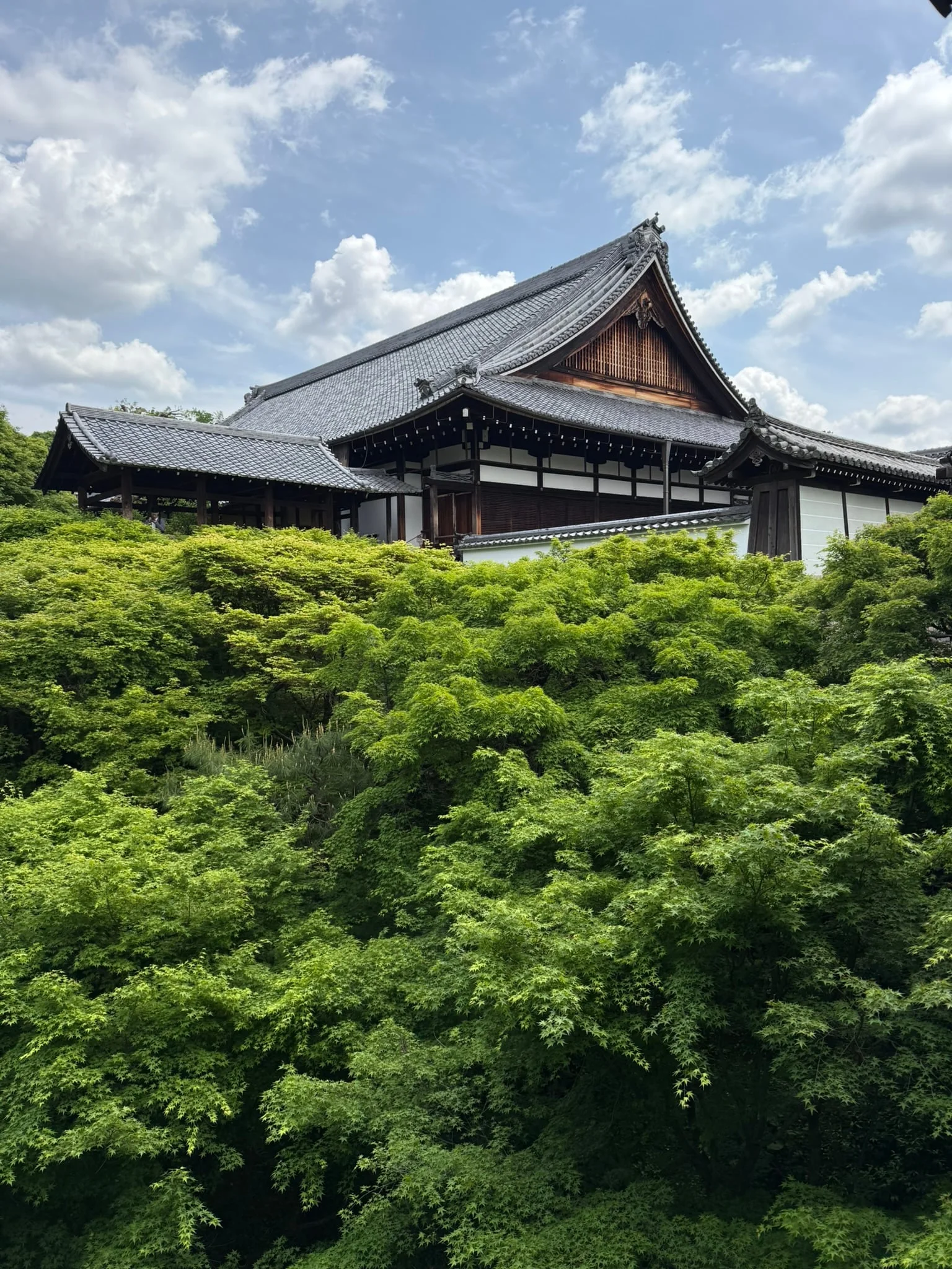 Kyoto photo 3