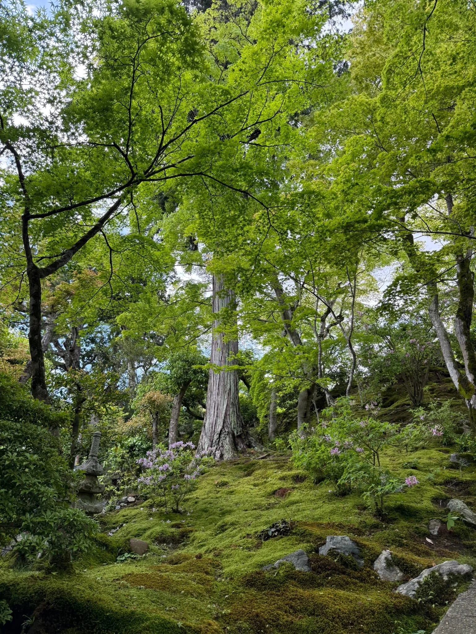 Kyoto photo 22