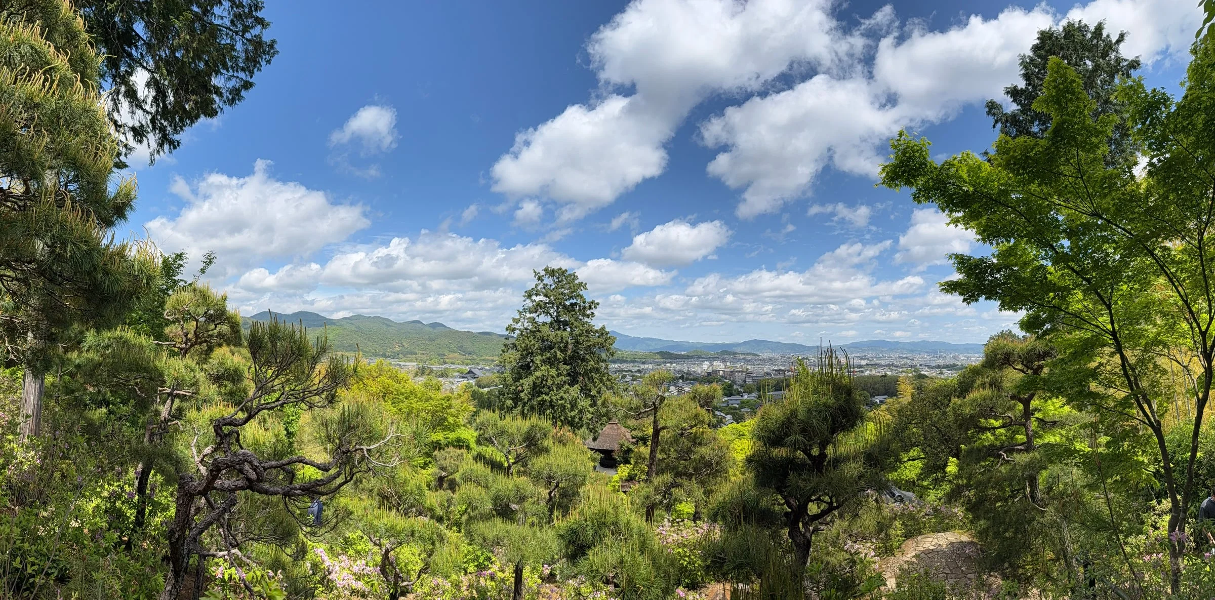 Kyoto photo 24