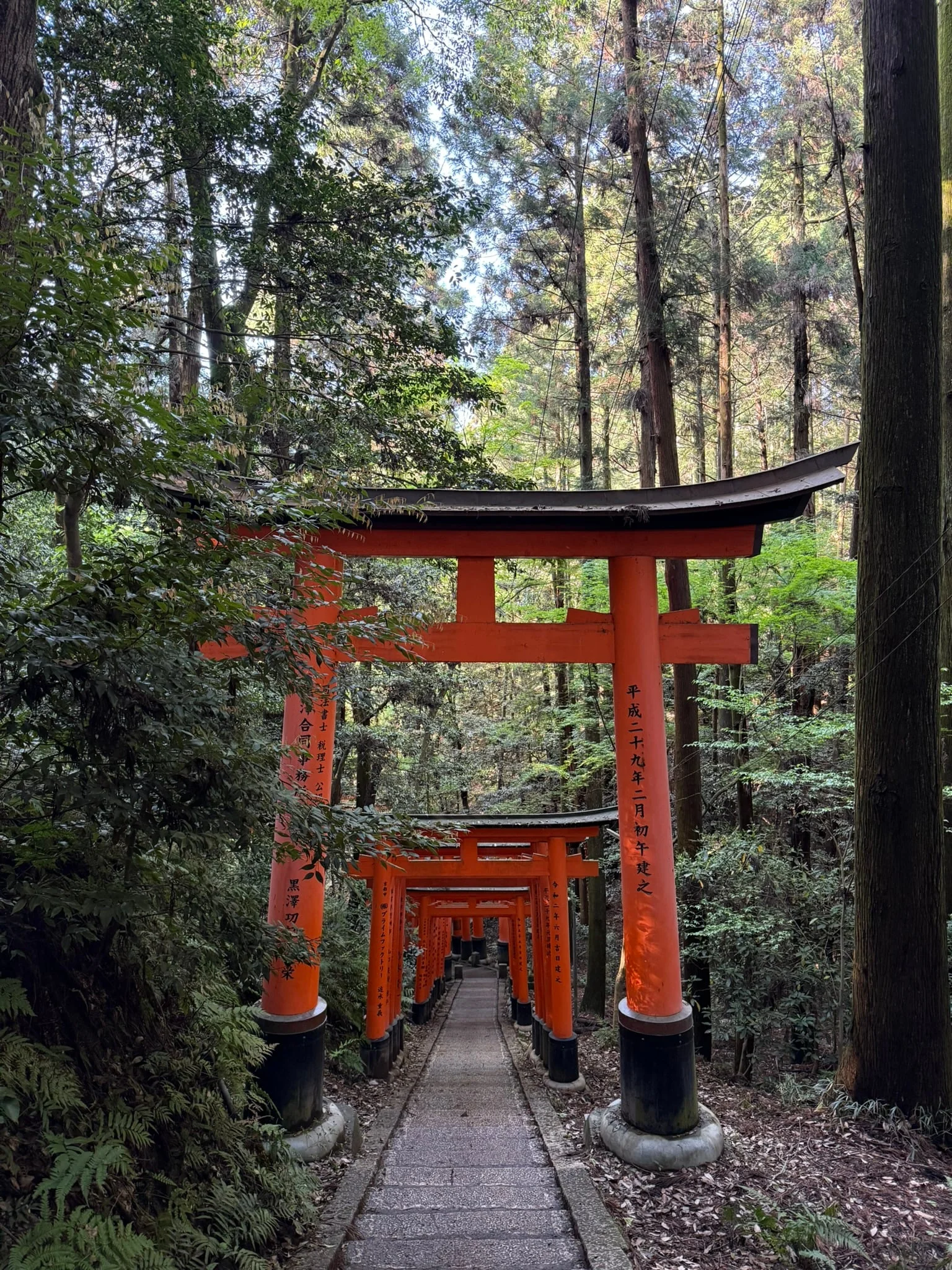 Kyoto photo 29