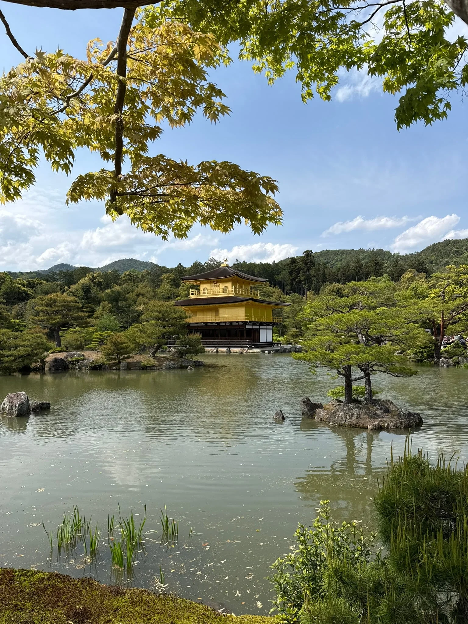 Kyoto photo 30