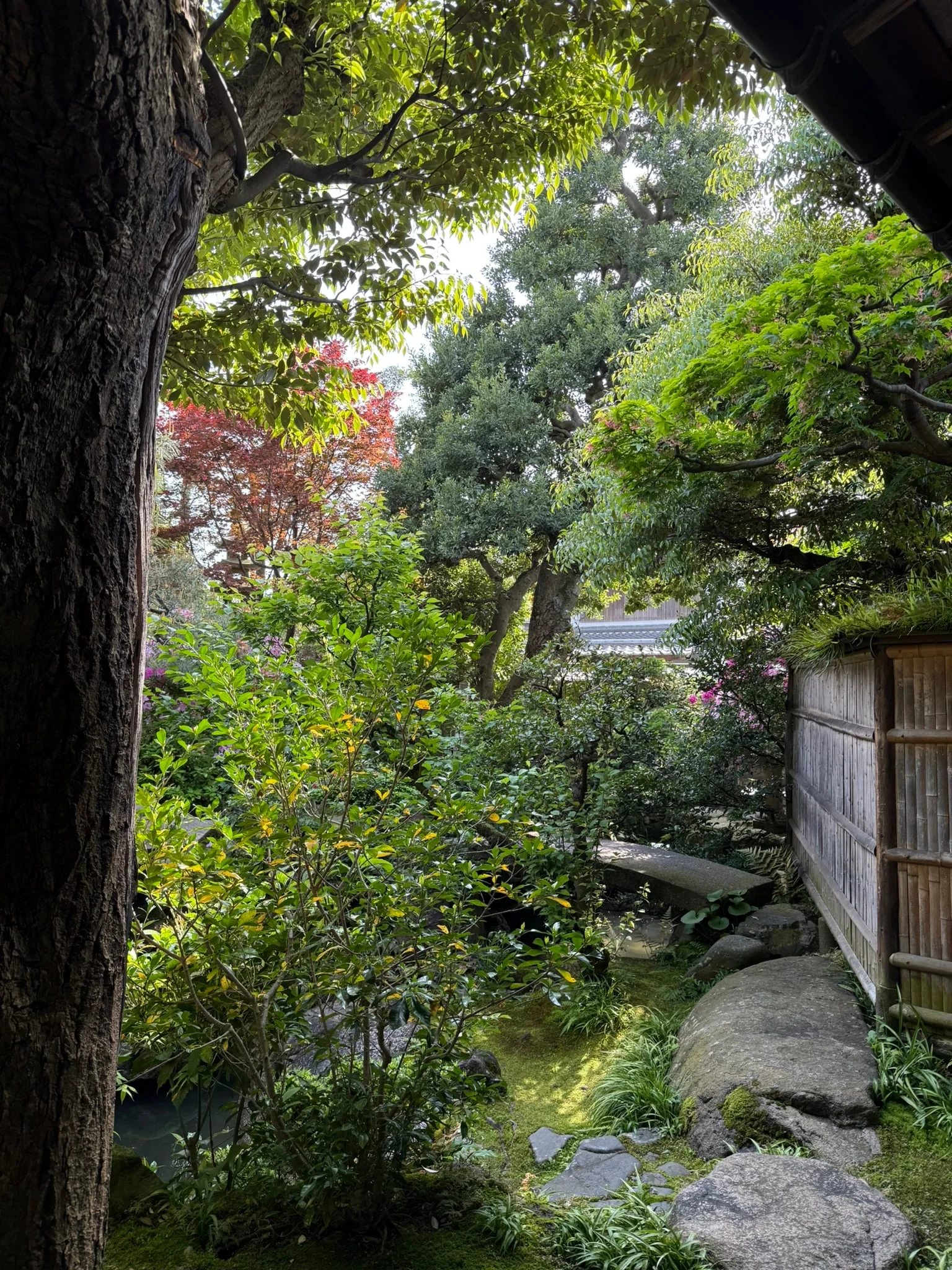 Kanazawa photo 7