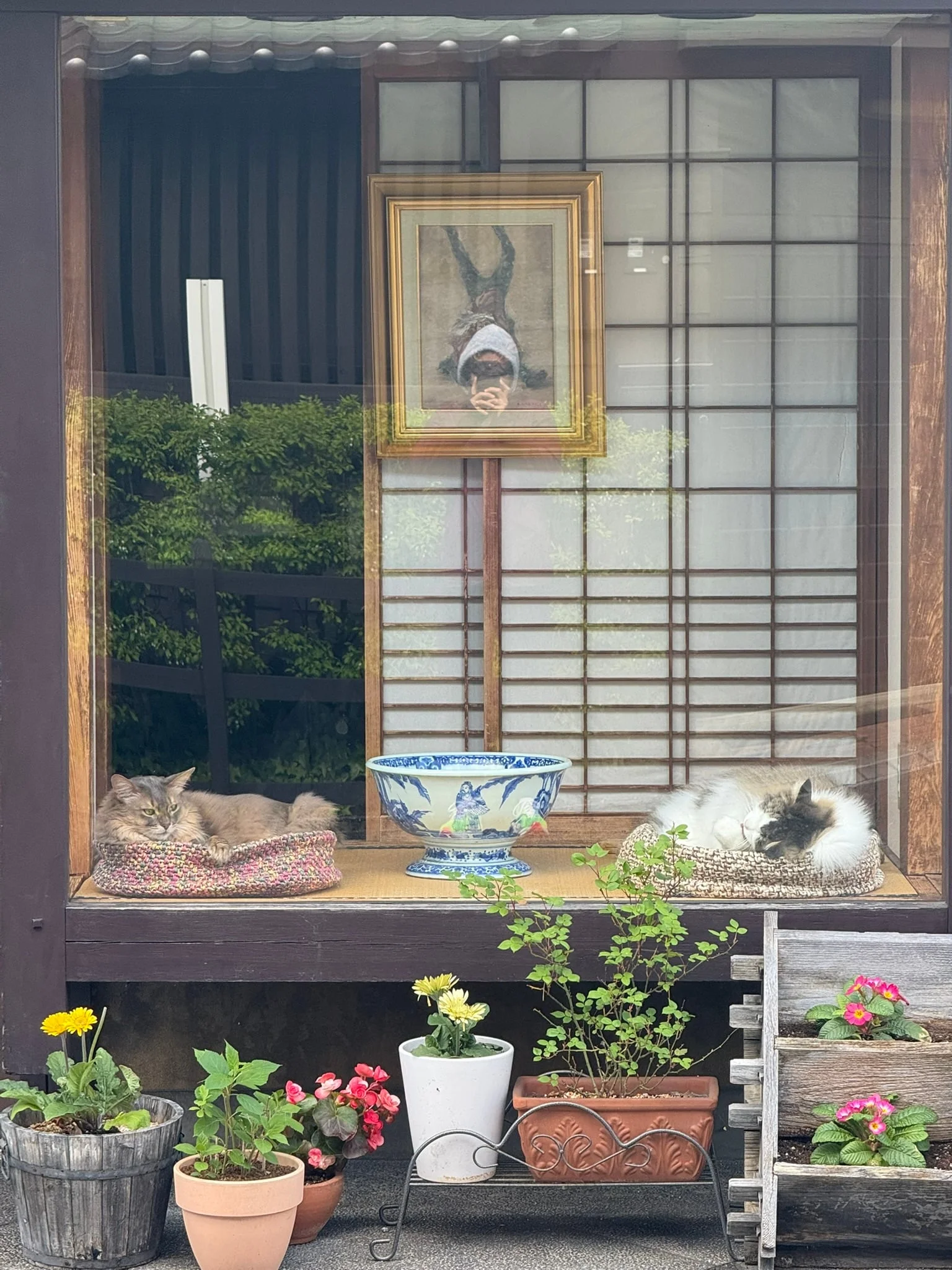 Takayama photo 4