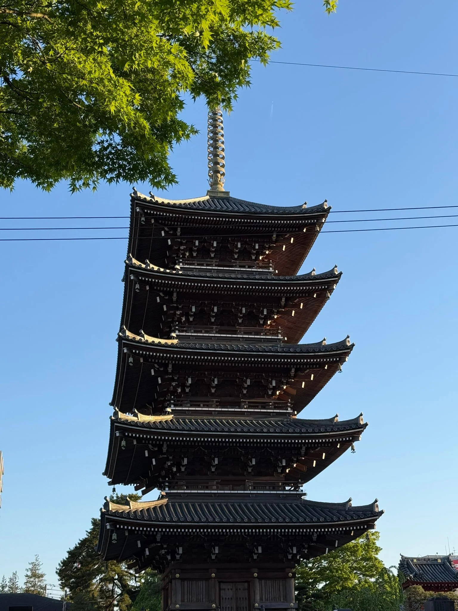 Sendai photo 5