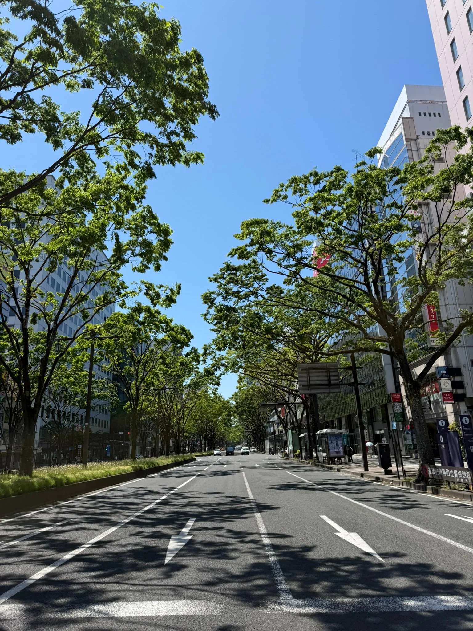 Sendai photo 6