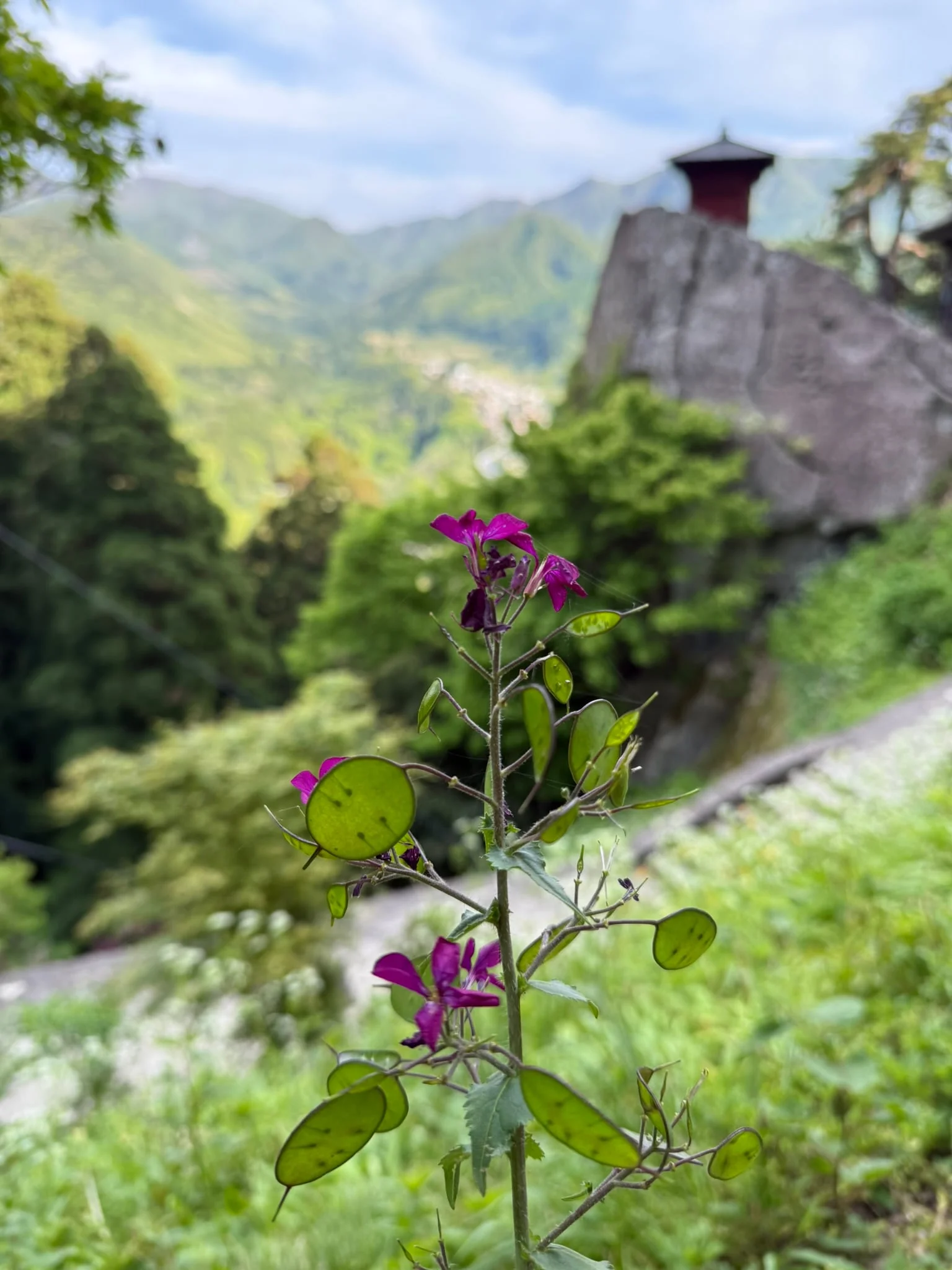 Yamadera photo 3