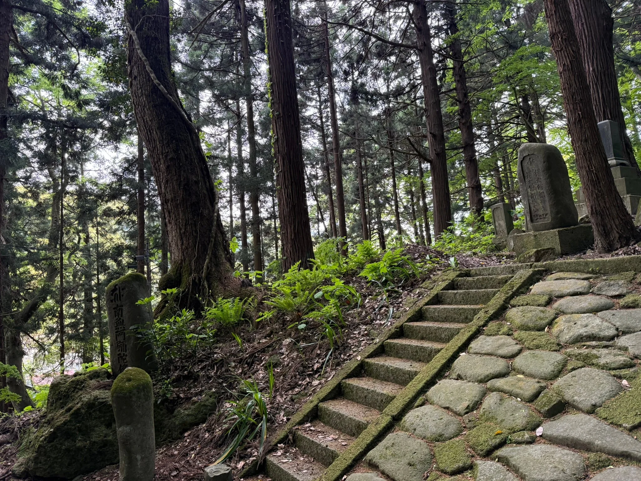 Yamadera photo 10