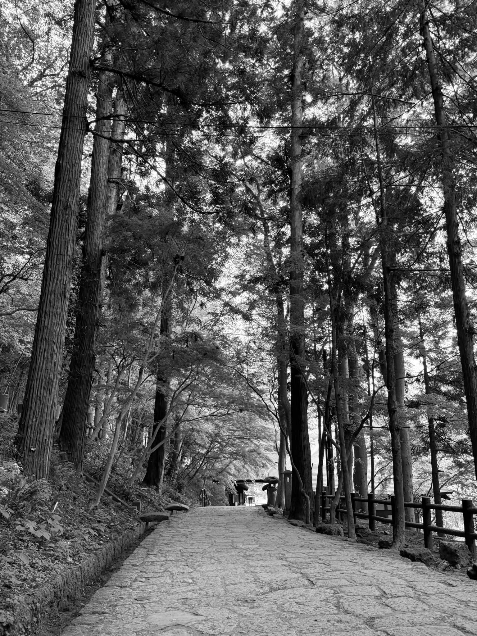 Yamadera photo 12