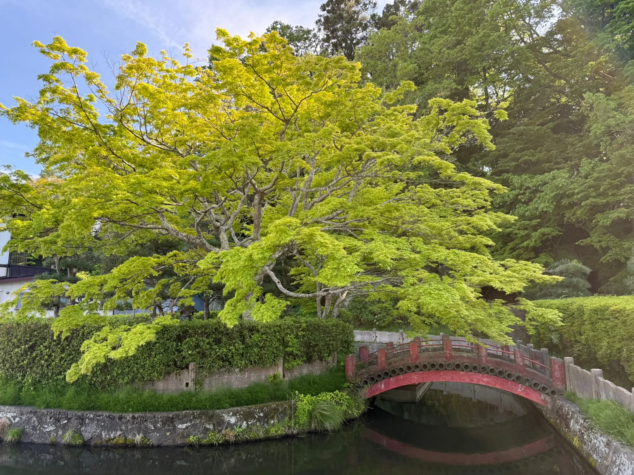 Sendai photo 8